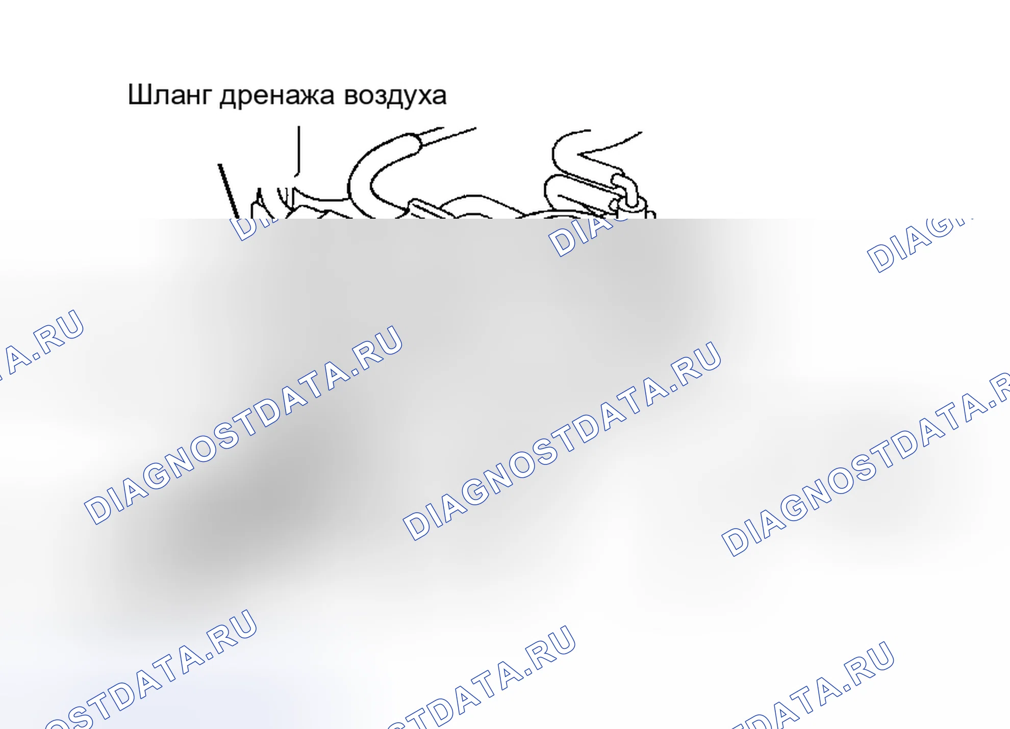 Рис. 119: Испытание топливной системы EVAP (Tacoma и 4Runner). Toyota Camry Solara I