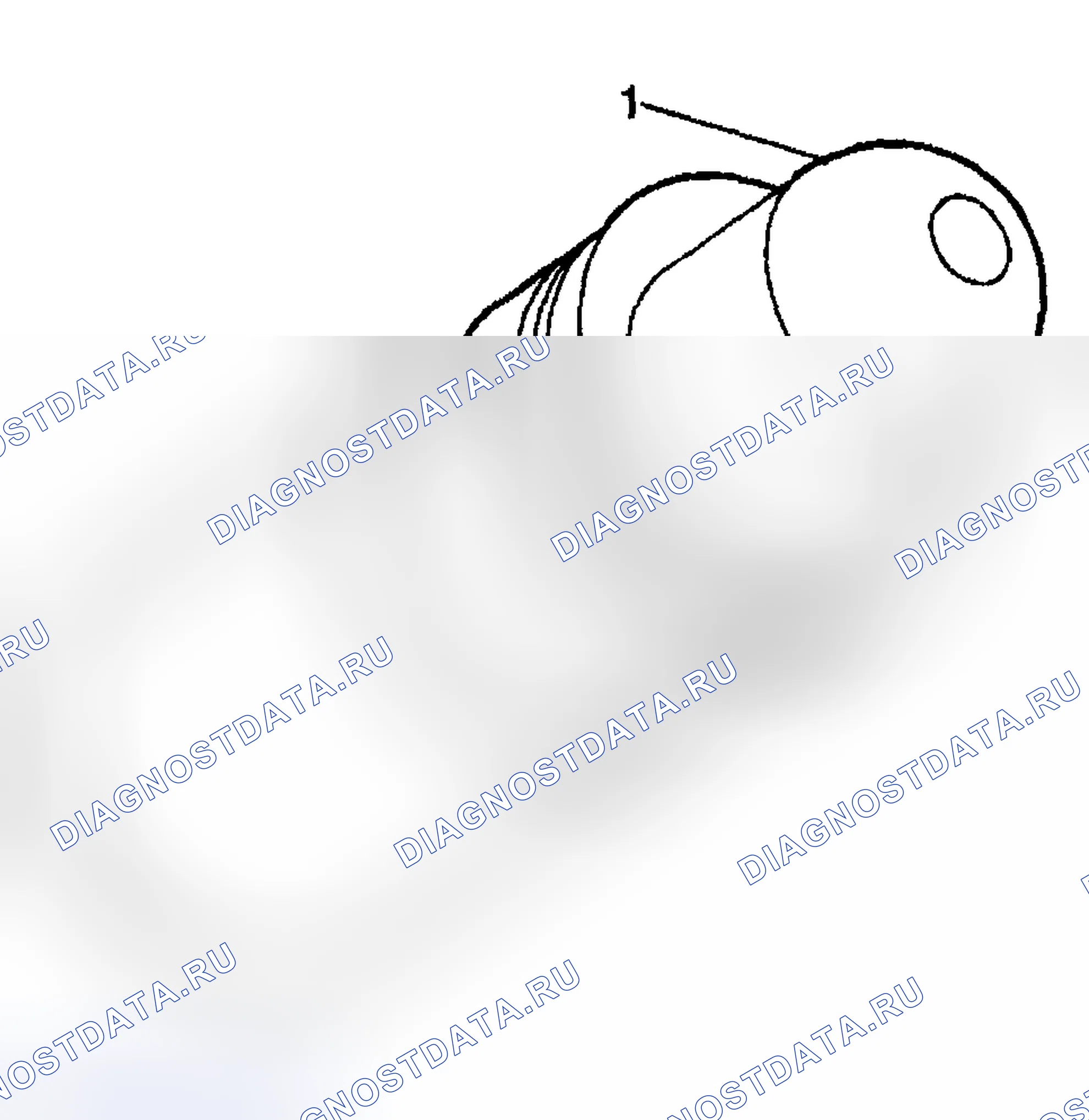 Рис. 1564: Процедура установки. Hyundai Terracan I рестайлинг