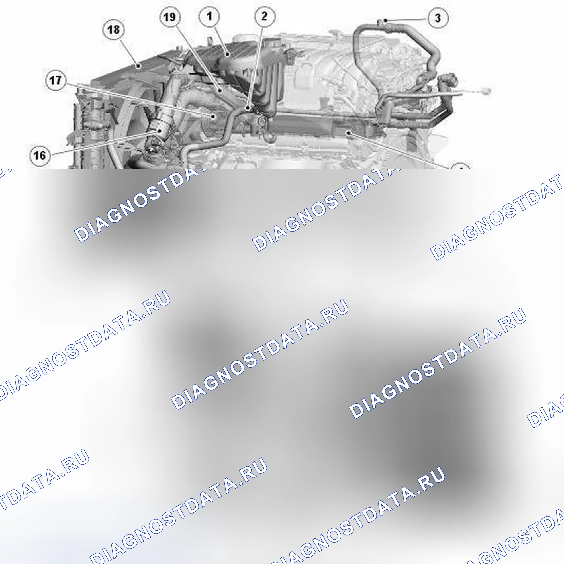 Рис. 41: РАСПОЛОЖЕНИЕ КОМПОНЕНТОВ. Jaguar XJ X351