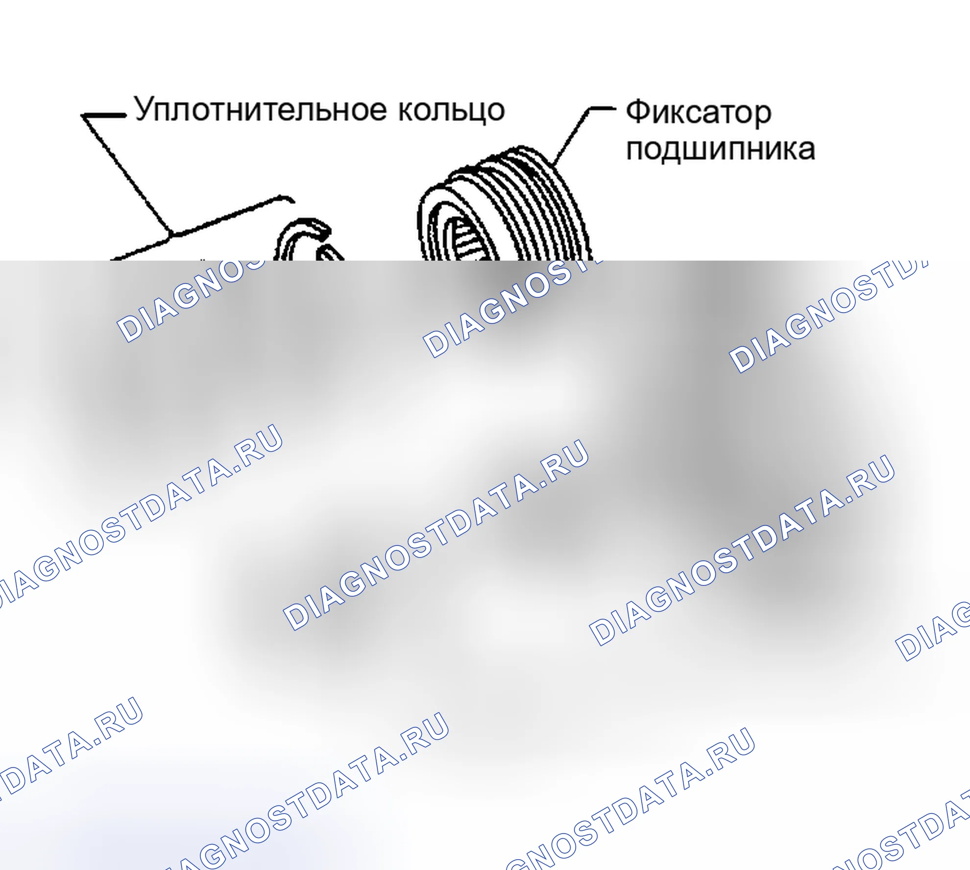 Рис. 260: РАЗБОРКА. Nissan Altima L31