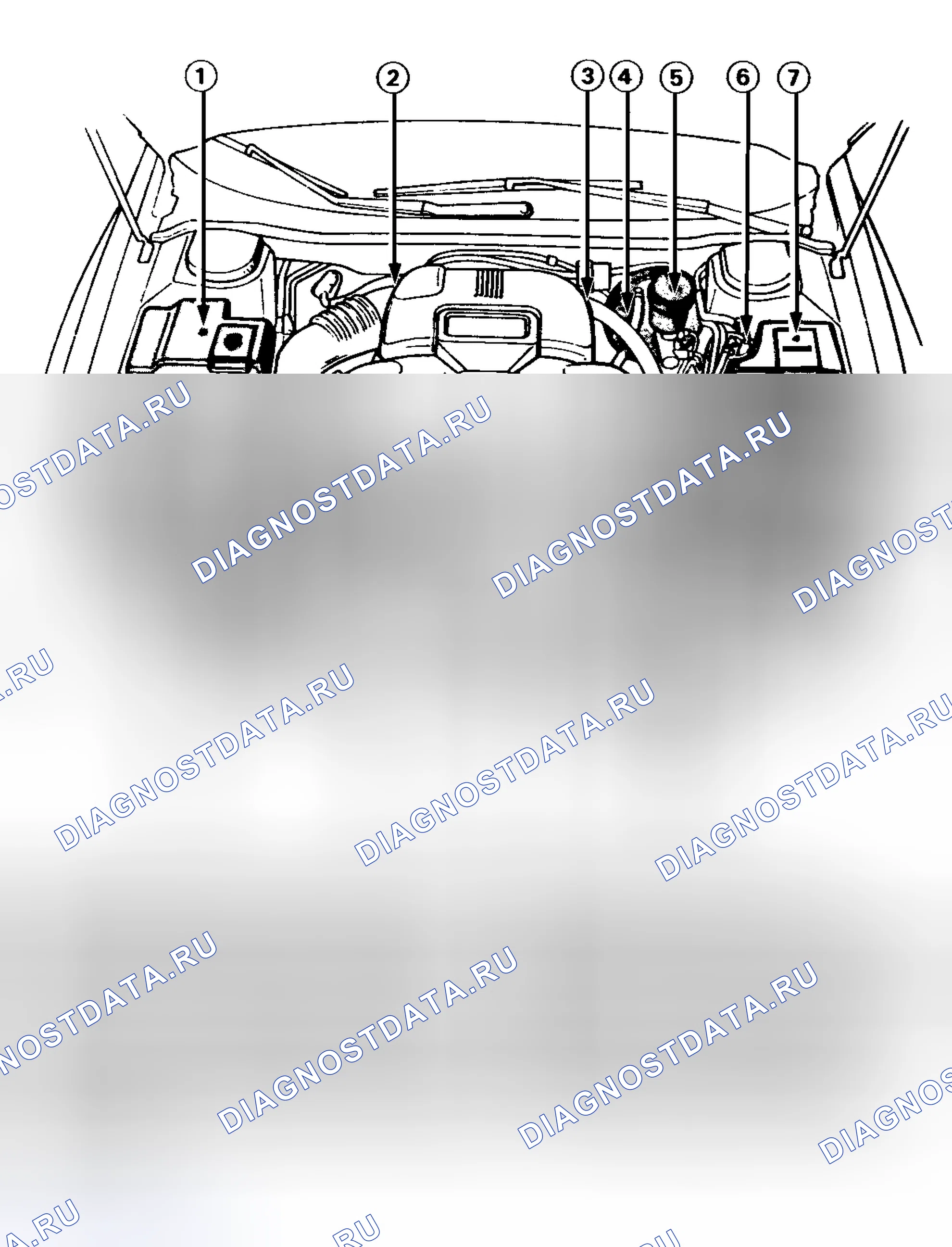 Рис. 2: РАСПОЛОЖЕНИЕ ТОЧЕК ОБСЛУЖИВАНИЯ. Subaru SVX I