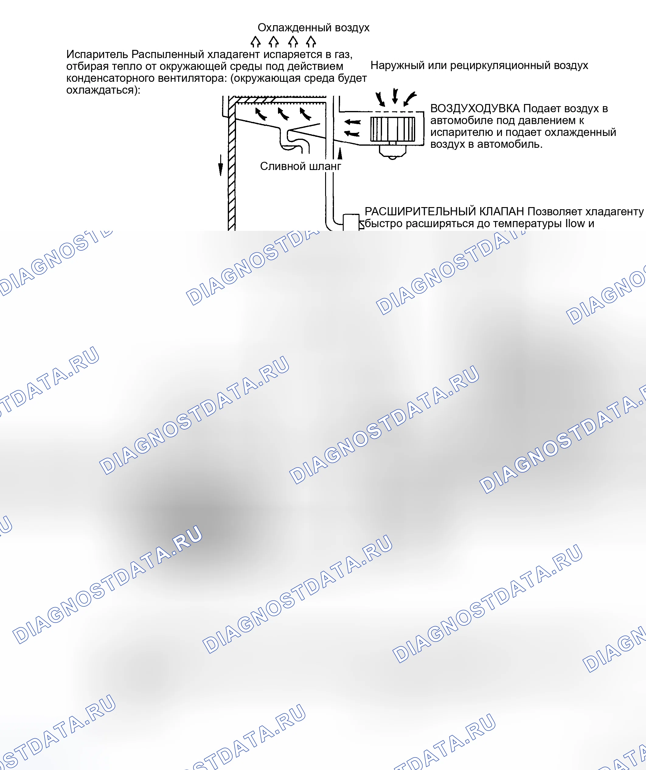 Рис. 184: ЦИКЛ ОХЛАЖДЕНИЯ. Haval Chitu I