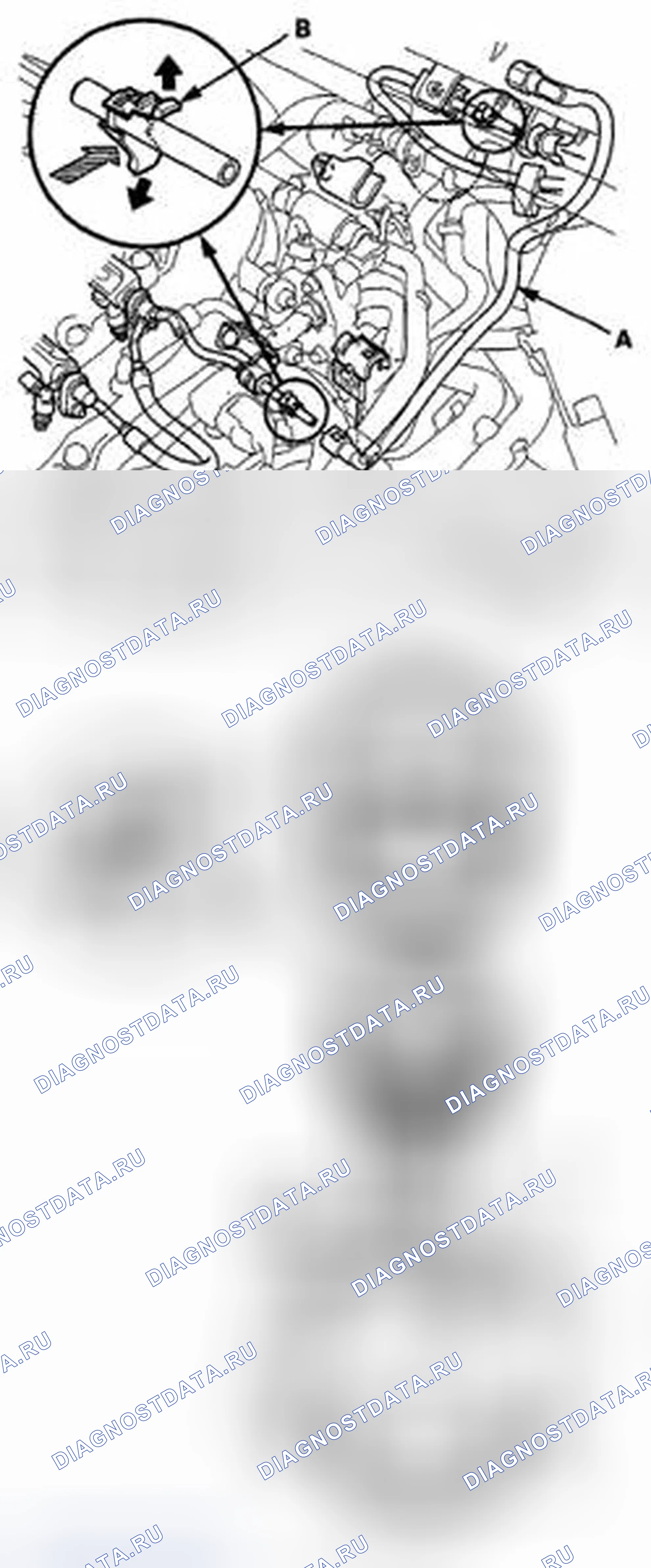 Рис. 205. Honda Crosstour I