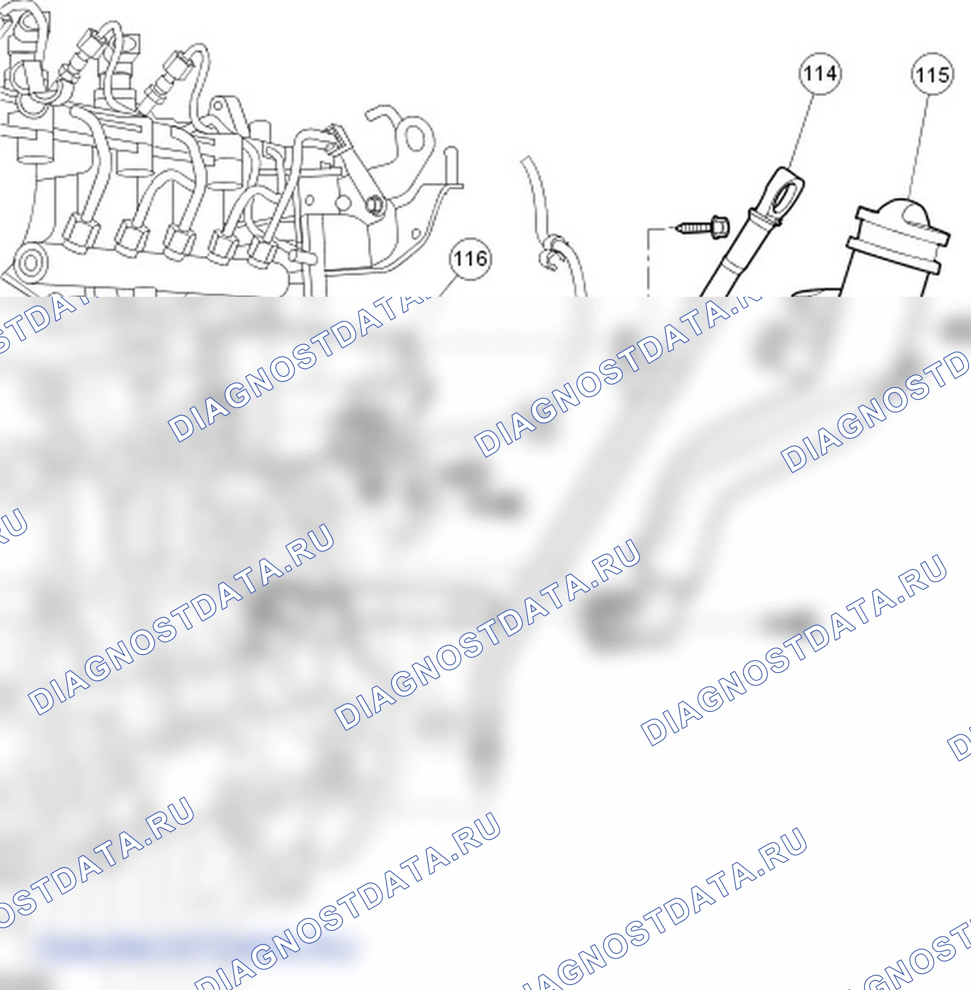 Разборка двигателя. Ford C-MAX I рестайлинг
