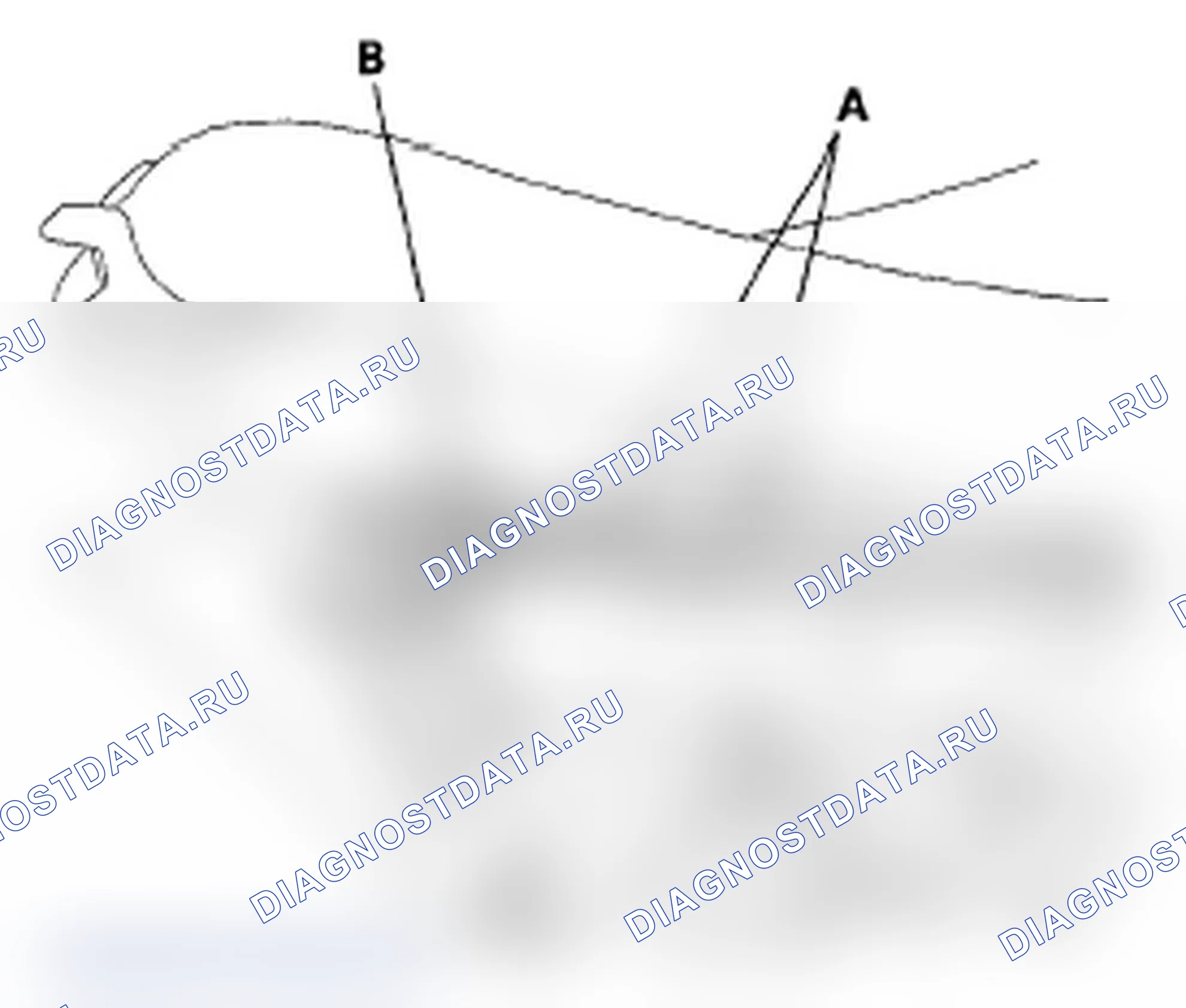 Рис. 42. Acura RDX I
