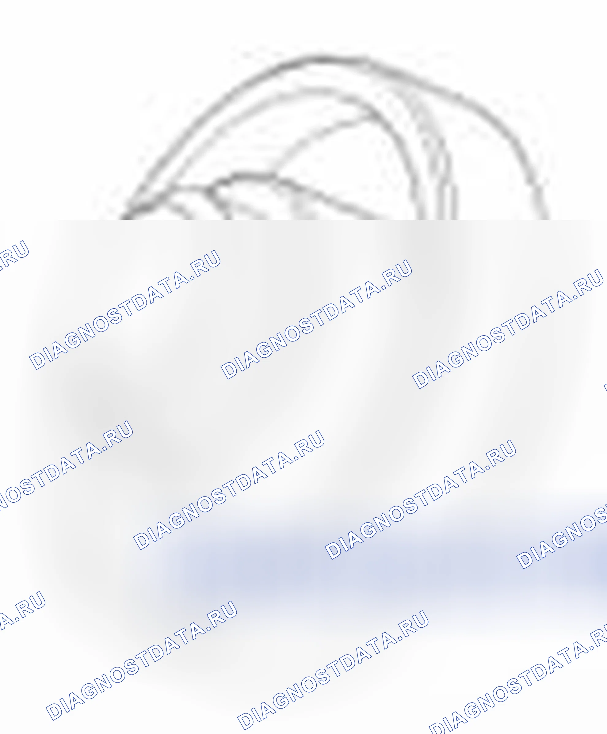 Рис. 405. Geely SC7 I