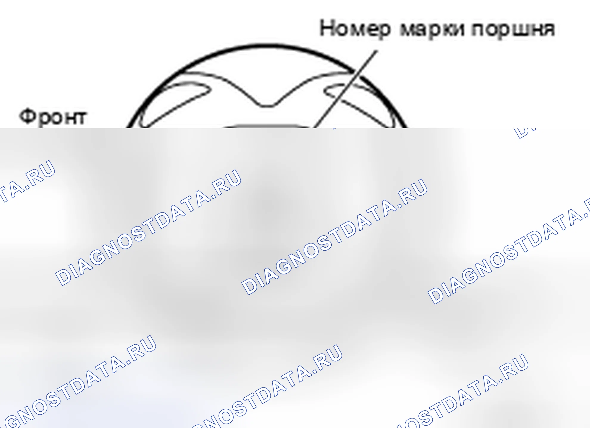 Рис. 6. Nissan Frontier D40