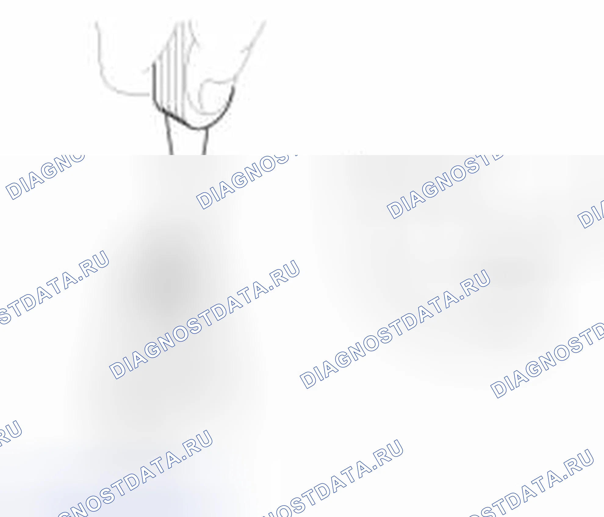 Рис. 10. Haval Beast (Shenshou) I