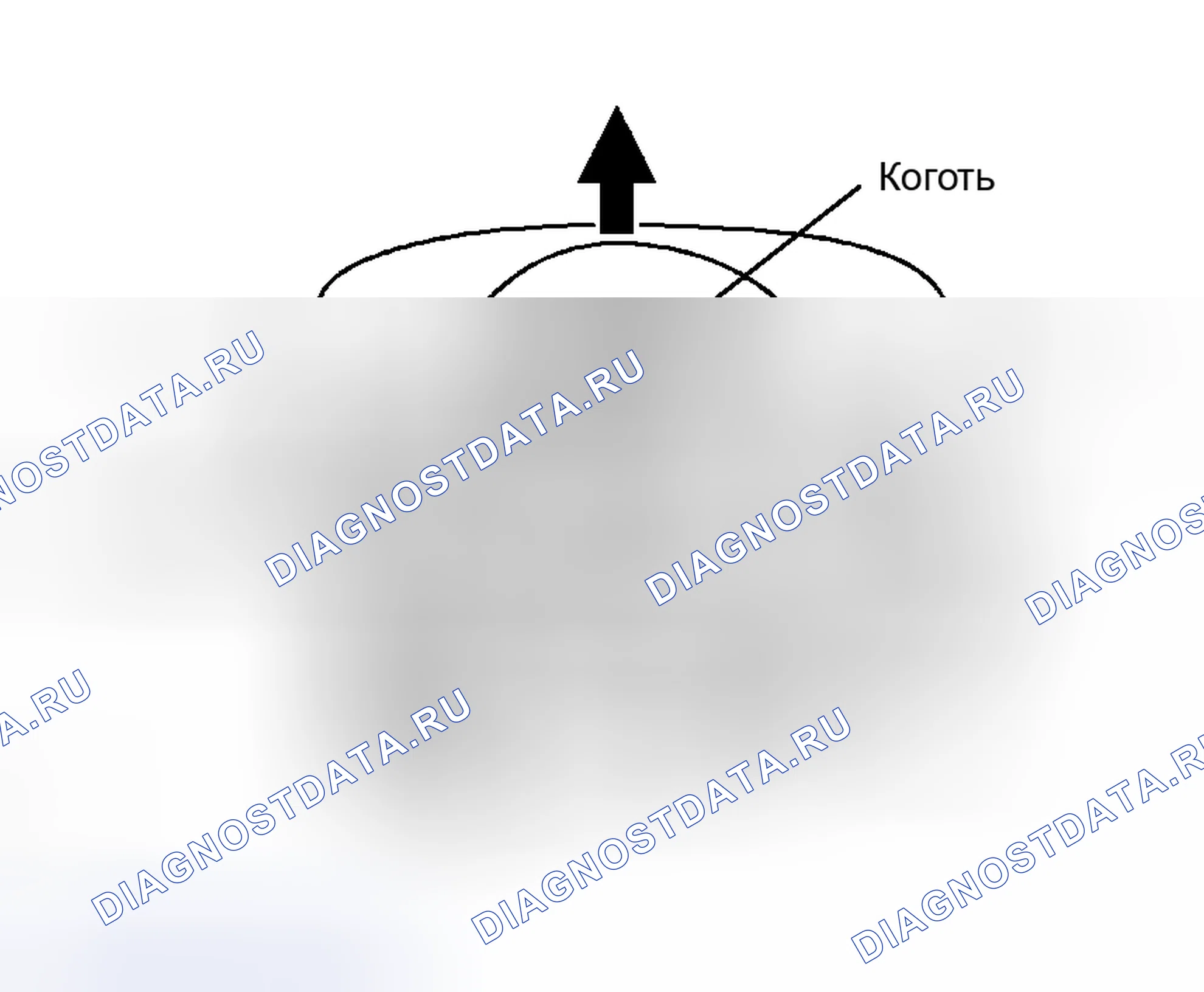 Рис. 360: ЗАМЕНА. Kia Sorento I