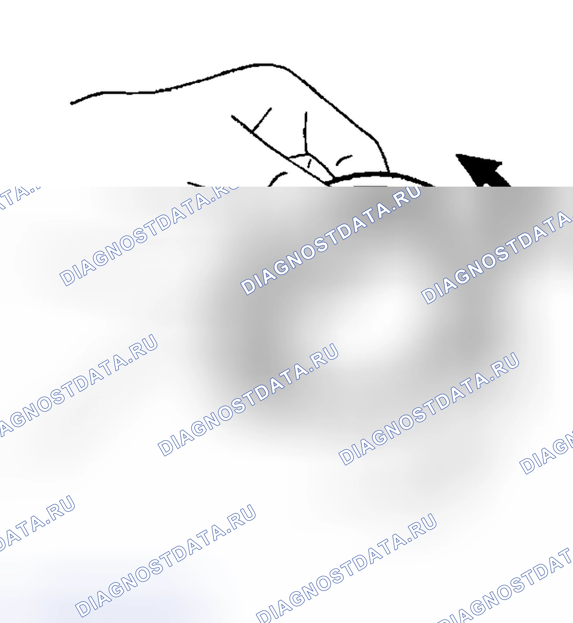Рис. 467: Подшипник. Nissan Sentra B15