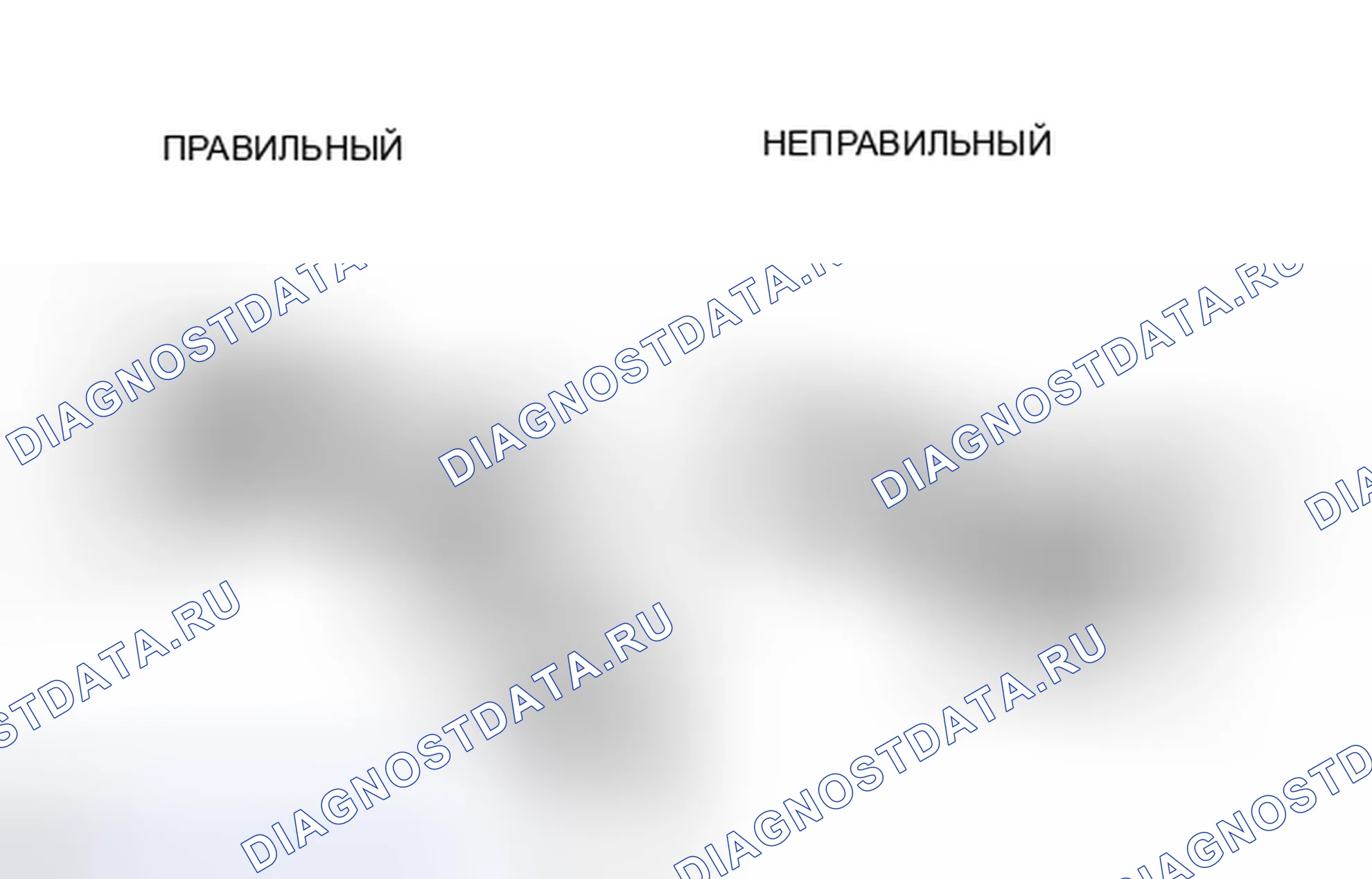 Рис. 49. Haval Xiaolong I