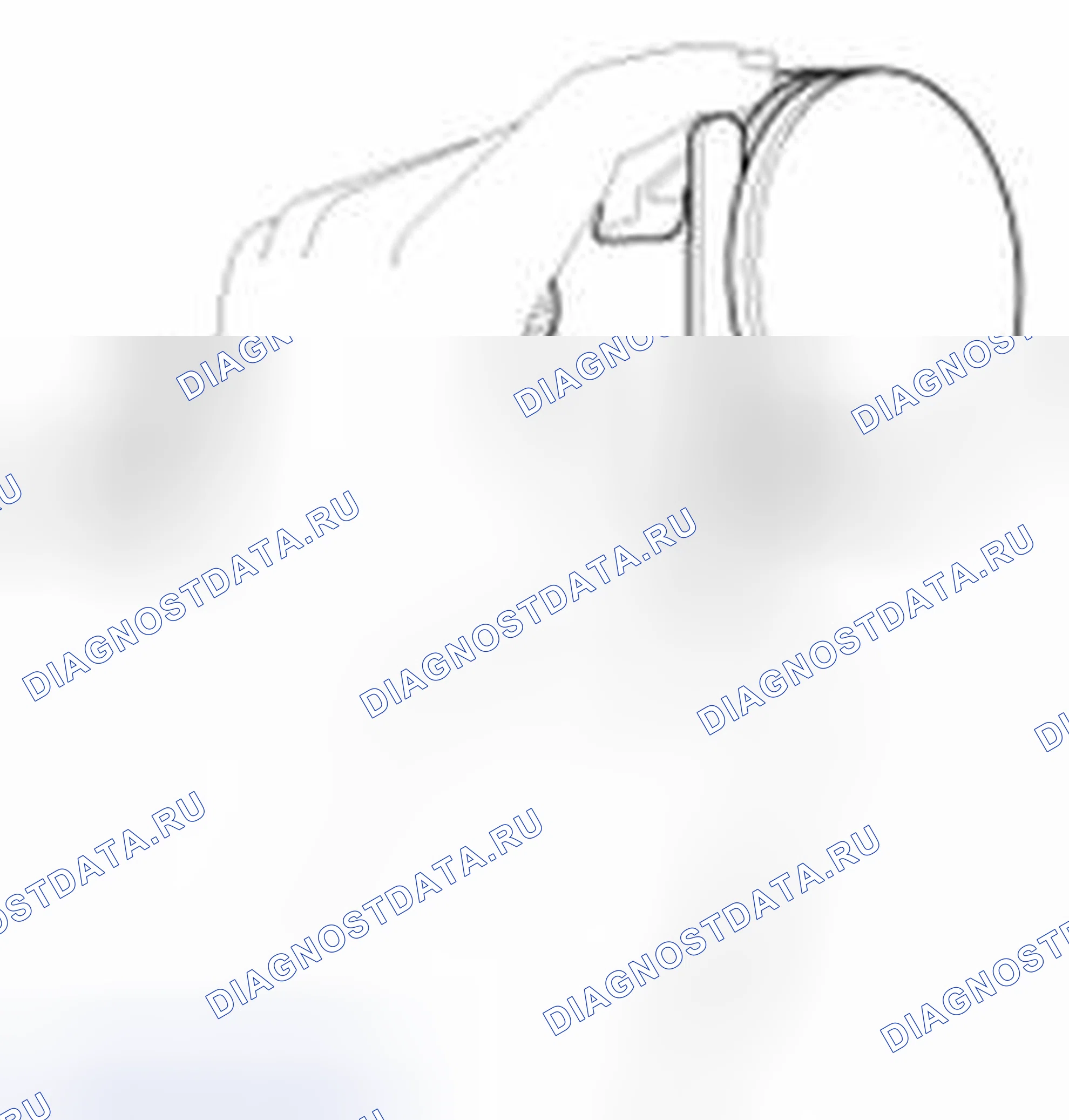 Рис. 303. Haval Beast (Shenshou) I