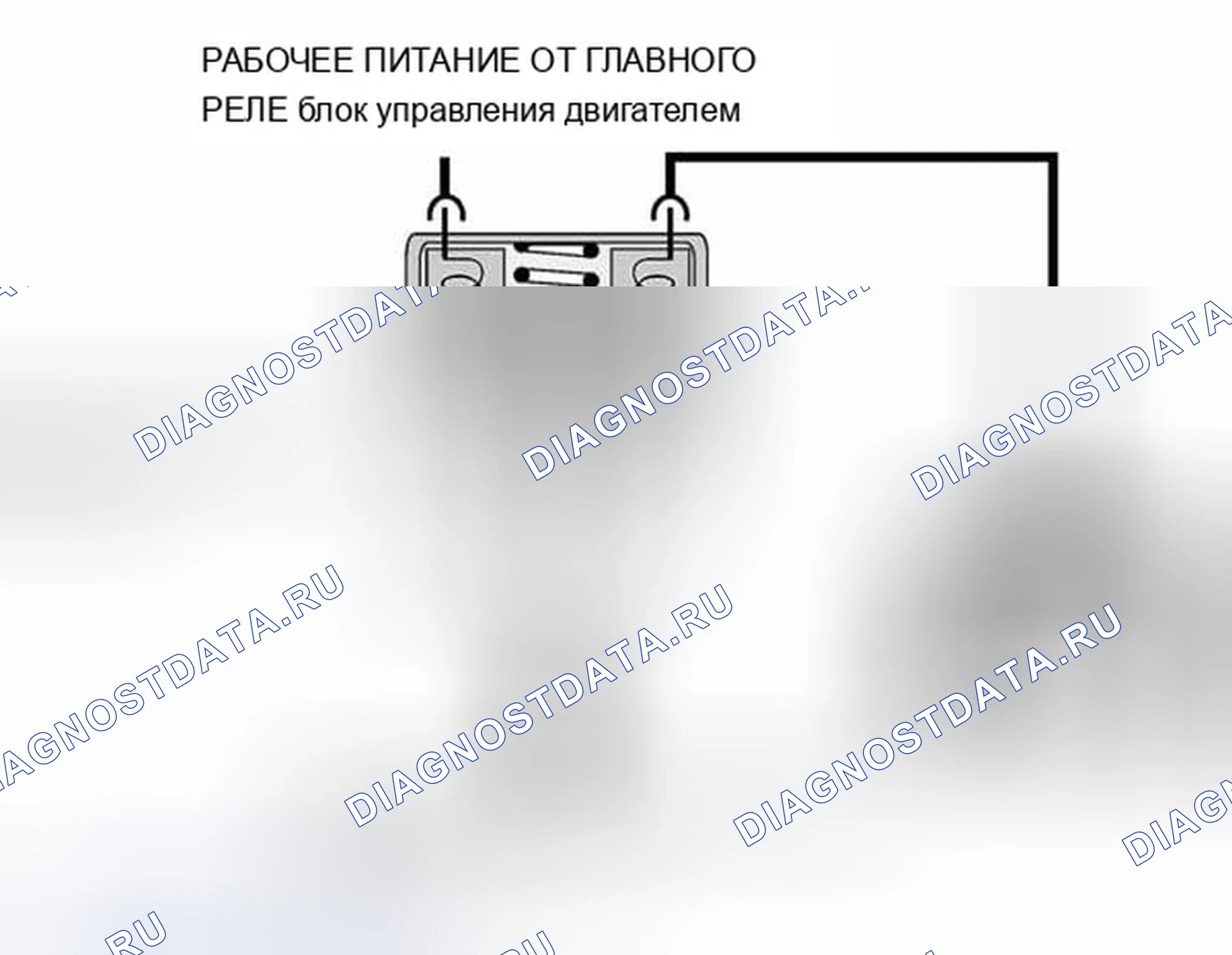 Рис. 559: Схема системы продувочных клапанов. BMW X5 E53