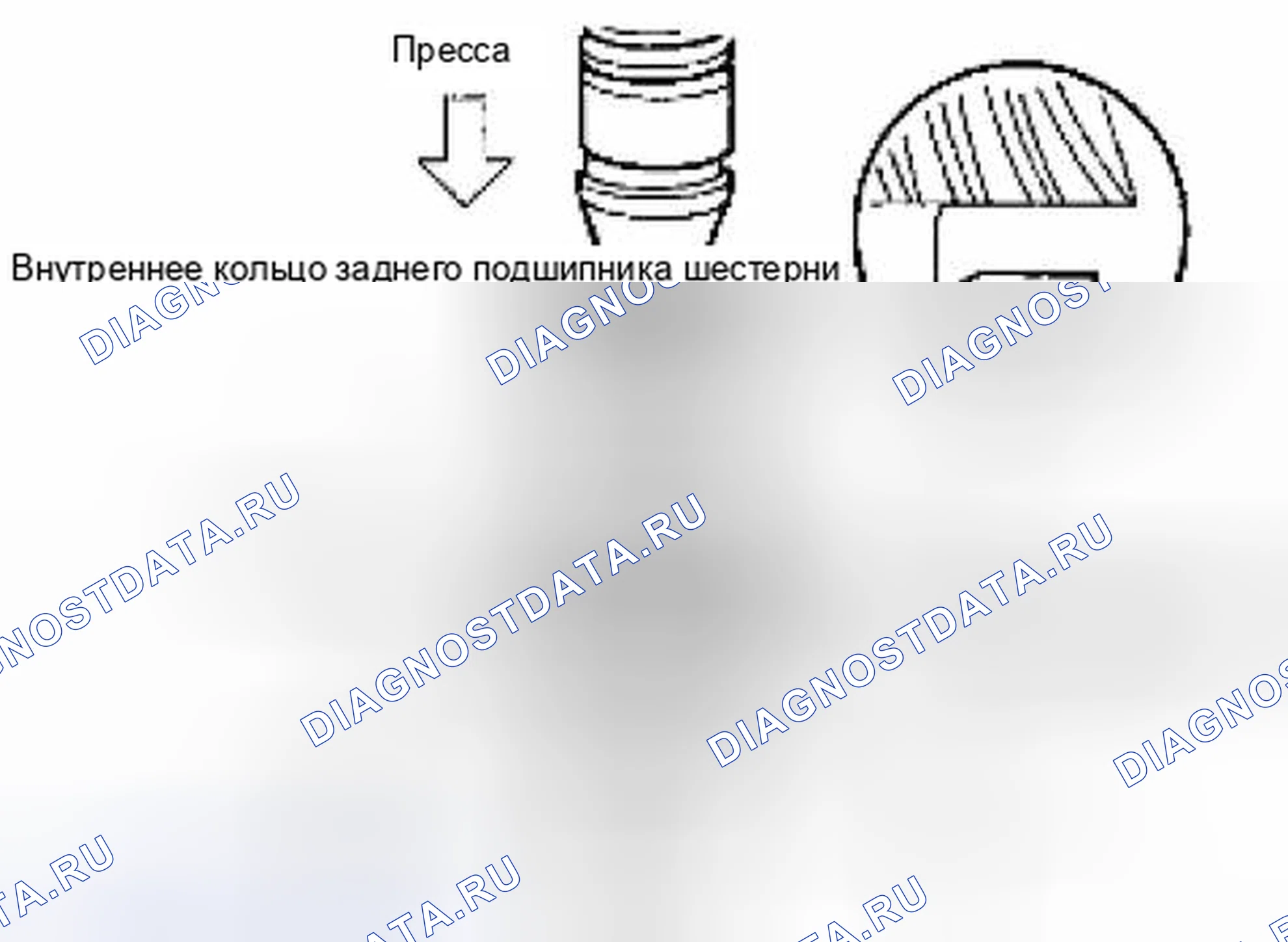 Рис. 19. Suzuki Equator I