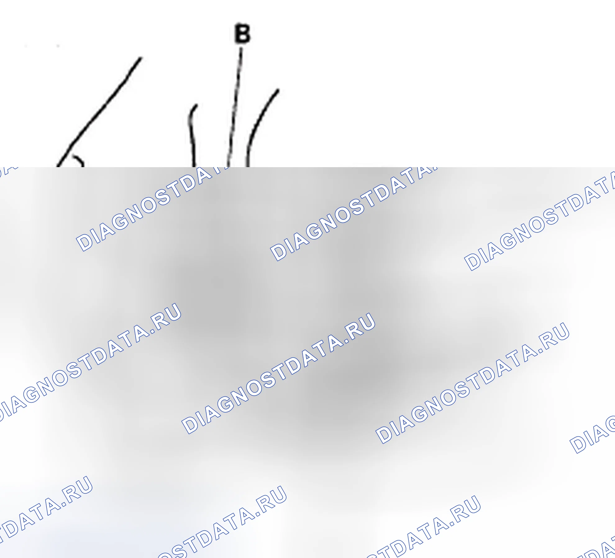Рис. 3: Проверка обгонной муфты. Honda Element YH2 рестайлинг