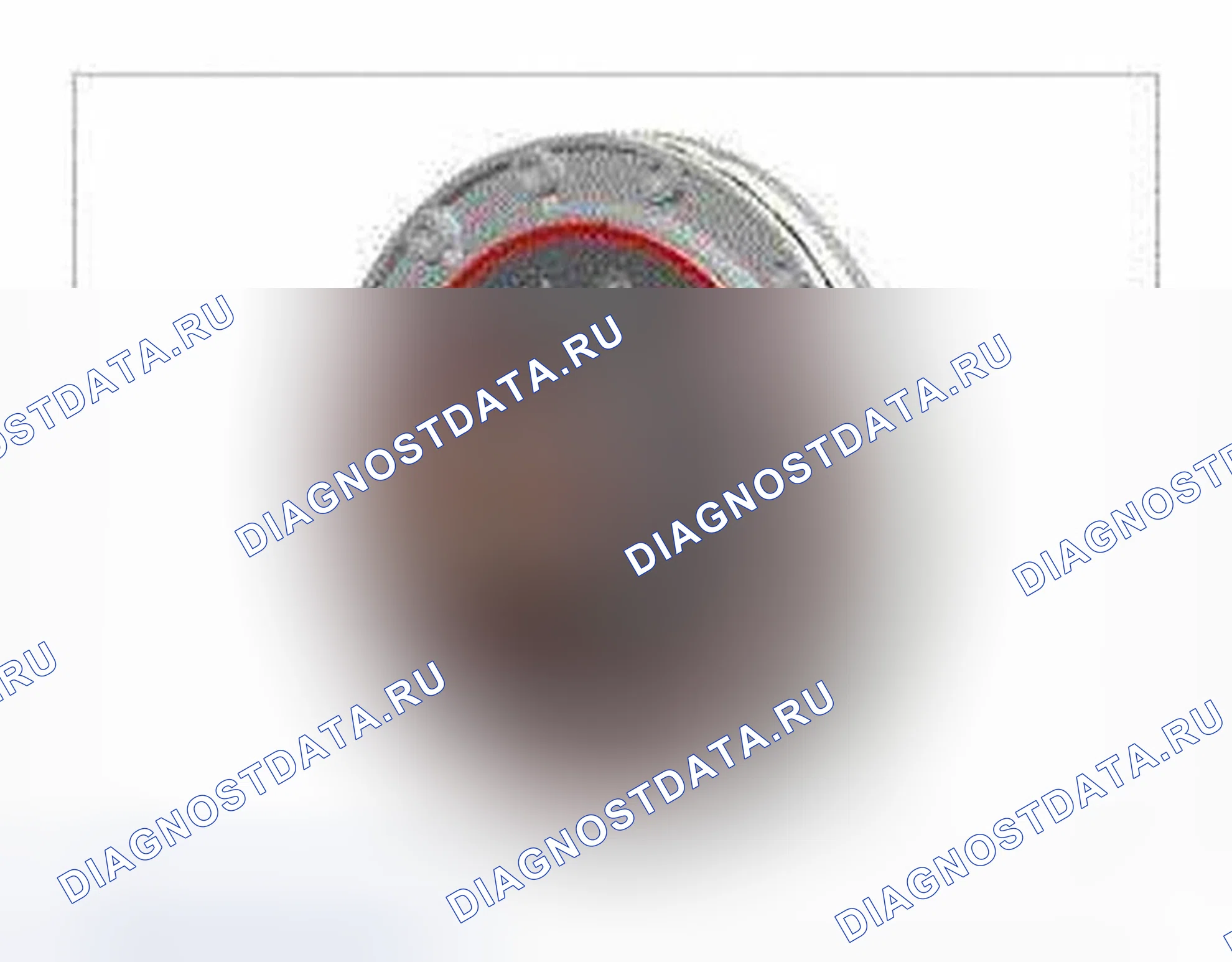 Рис. 93: Описание автоматической трансмиссии (акпп). Hyundai Genesis I рестайлинг