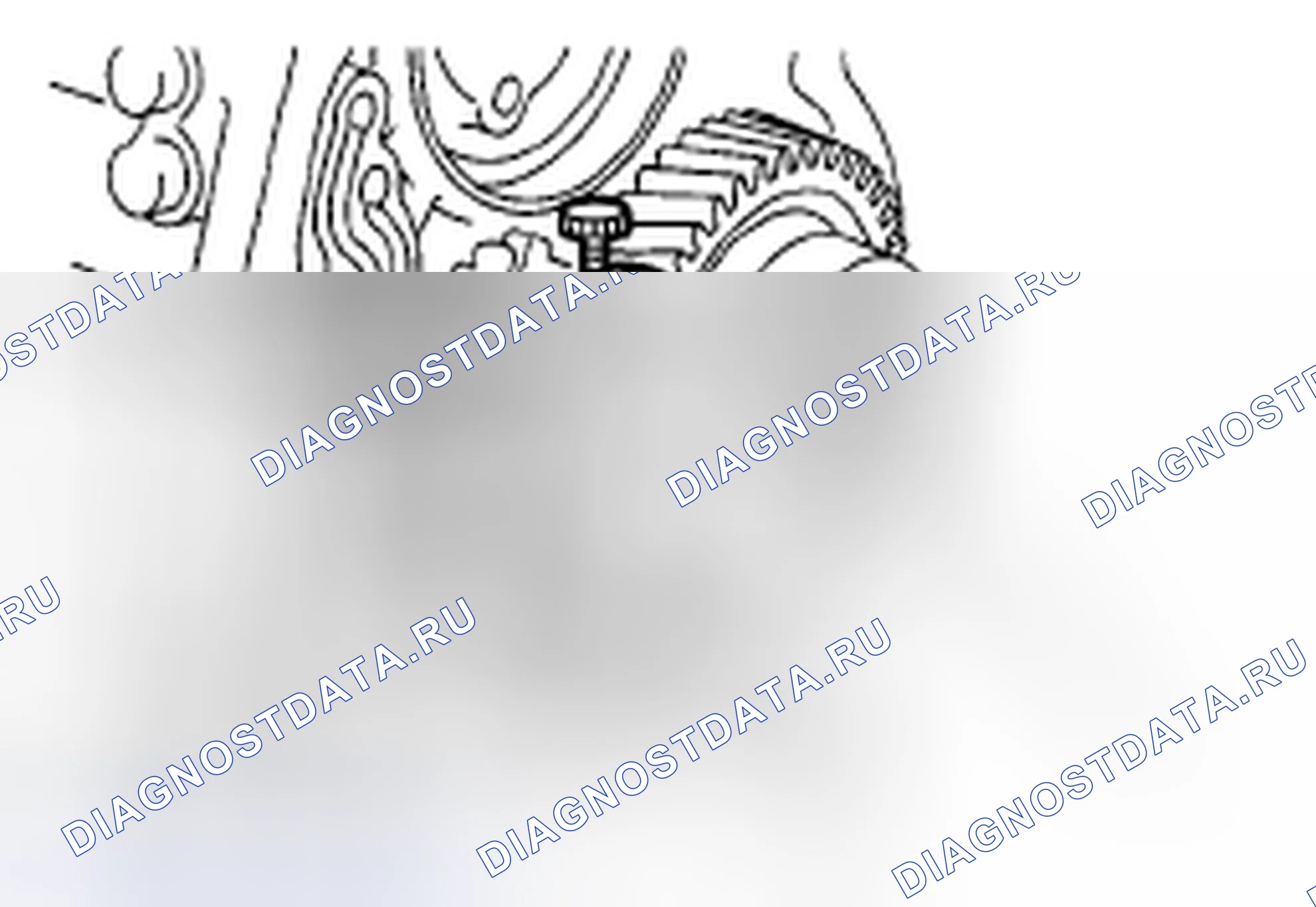 Рис. 519. Subaru Outback BP рестайлинг