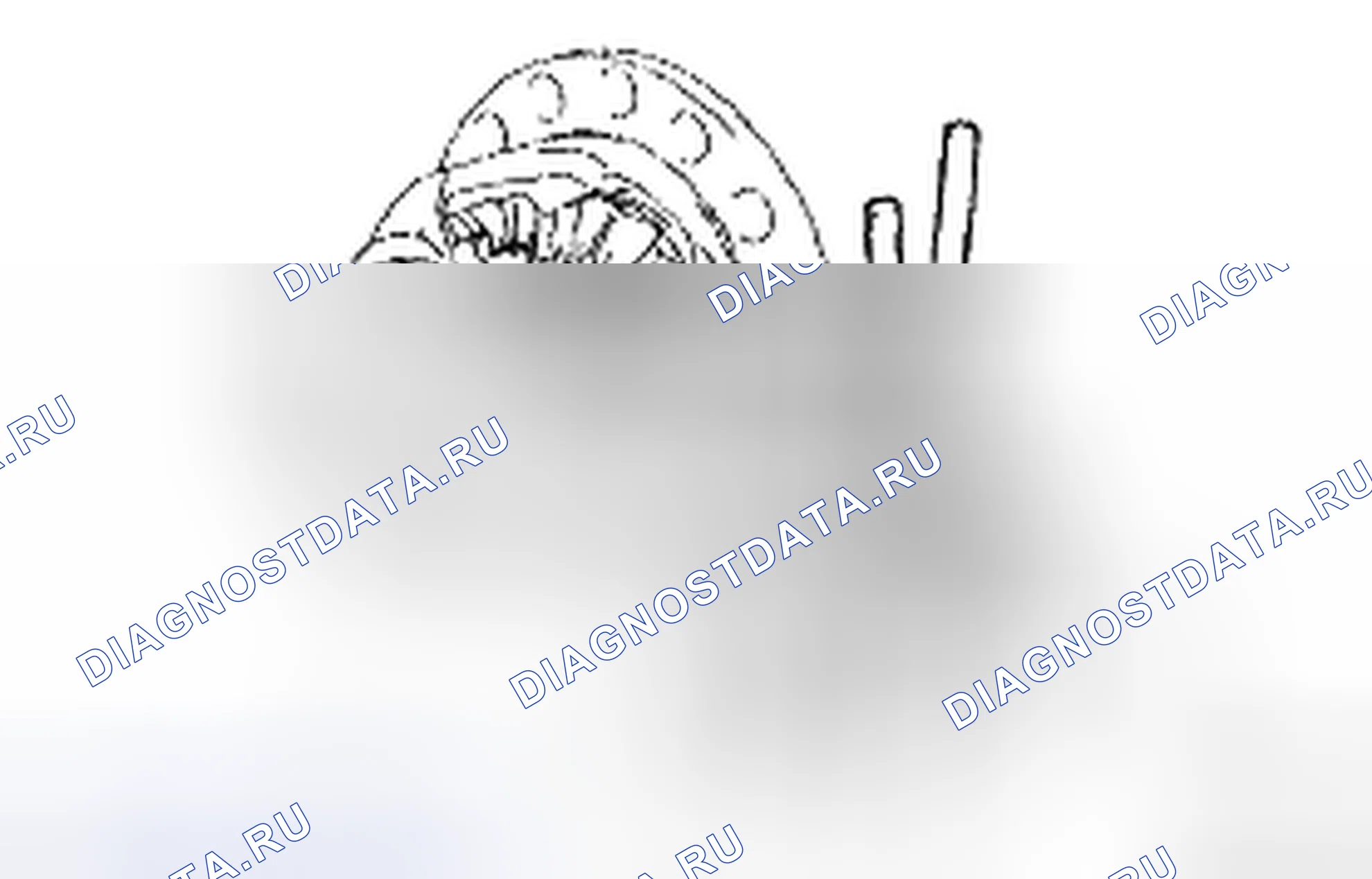 Рис. 553. Toyota Corolla X