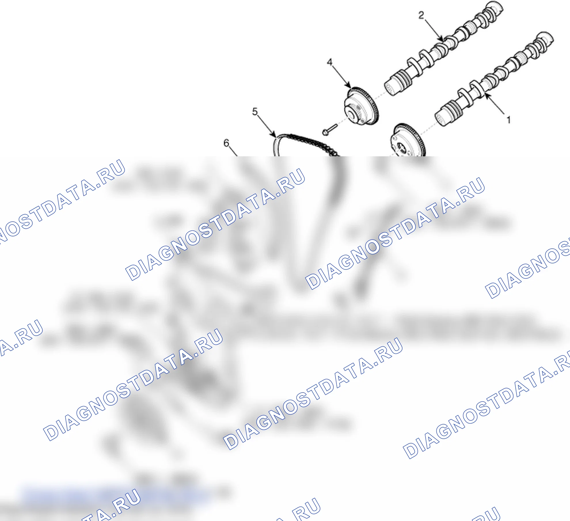 Детали цепи ГРМ. Hyundai ix35 EL