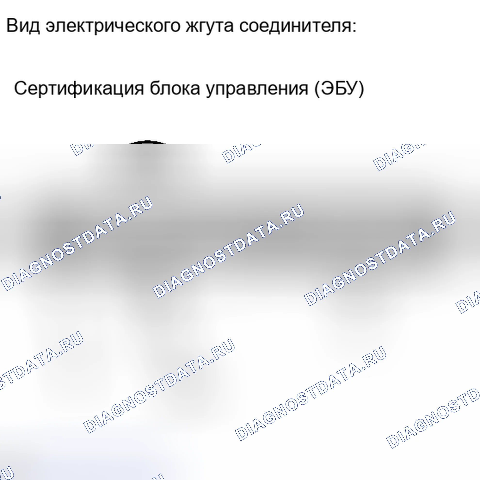Рис. 217. Haval H4 I