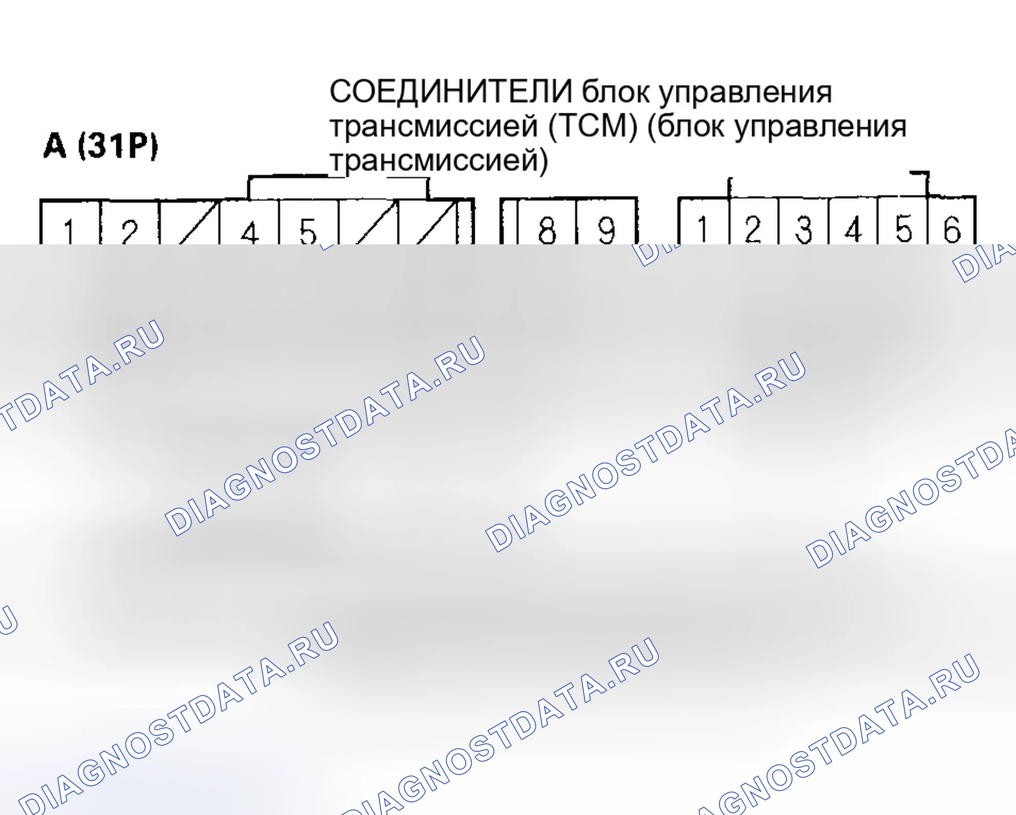 Рис. 981. Honda Civic VII рестайлинг