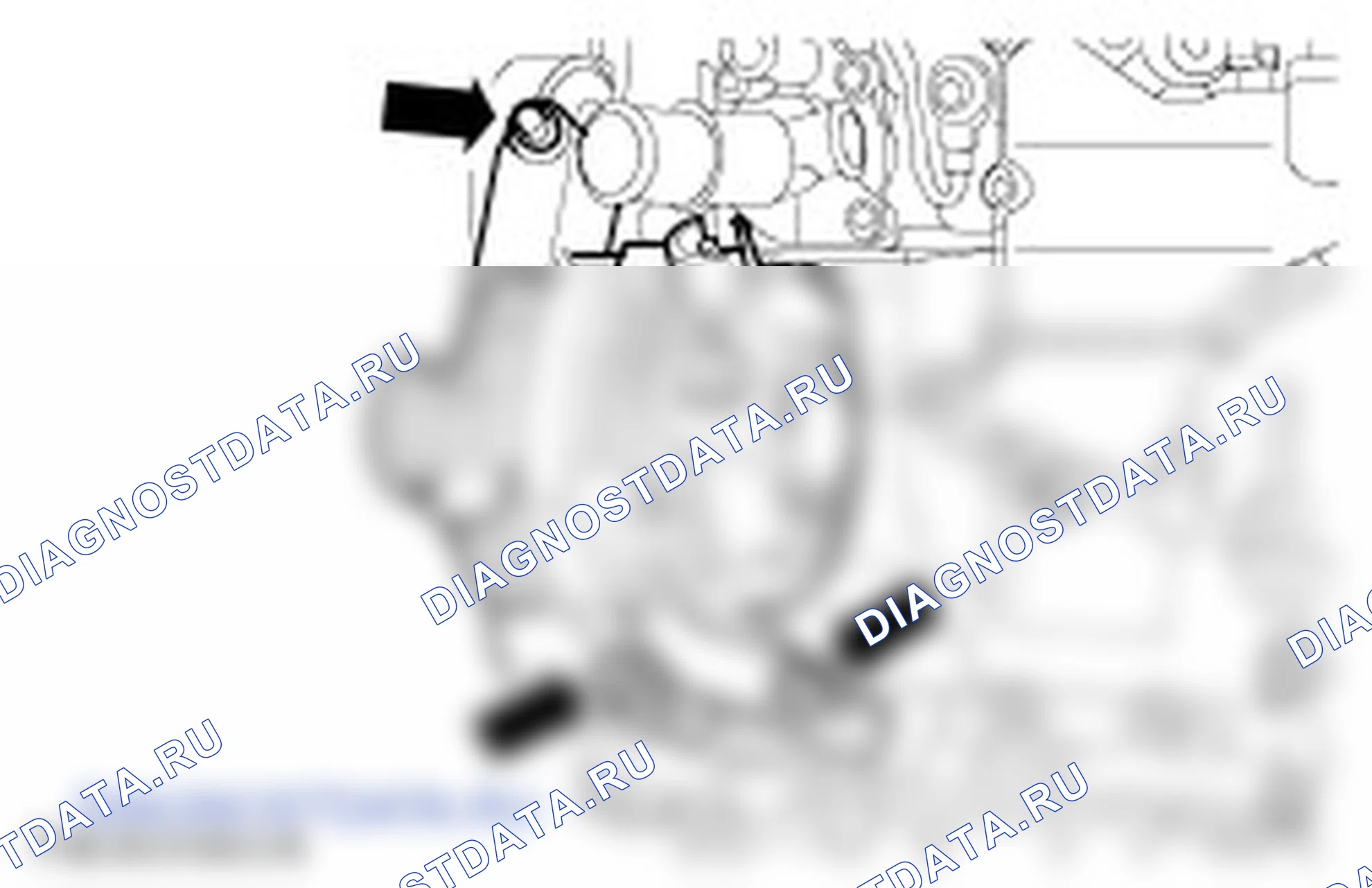 Разборка двигателя. Ford C-MAX I рестайлинг