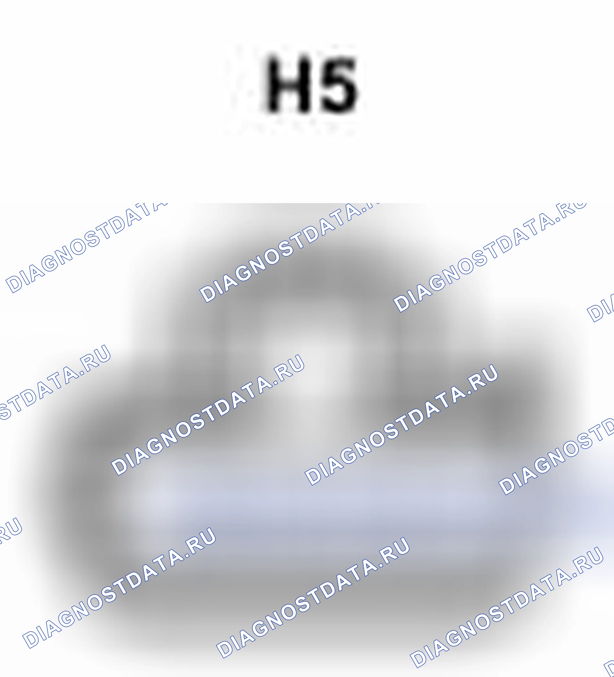 Рис. 365: Вид с торца разъема задней комбинированной подсветки Lh (H5). Scion xB II рестайлинг