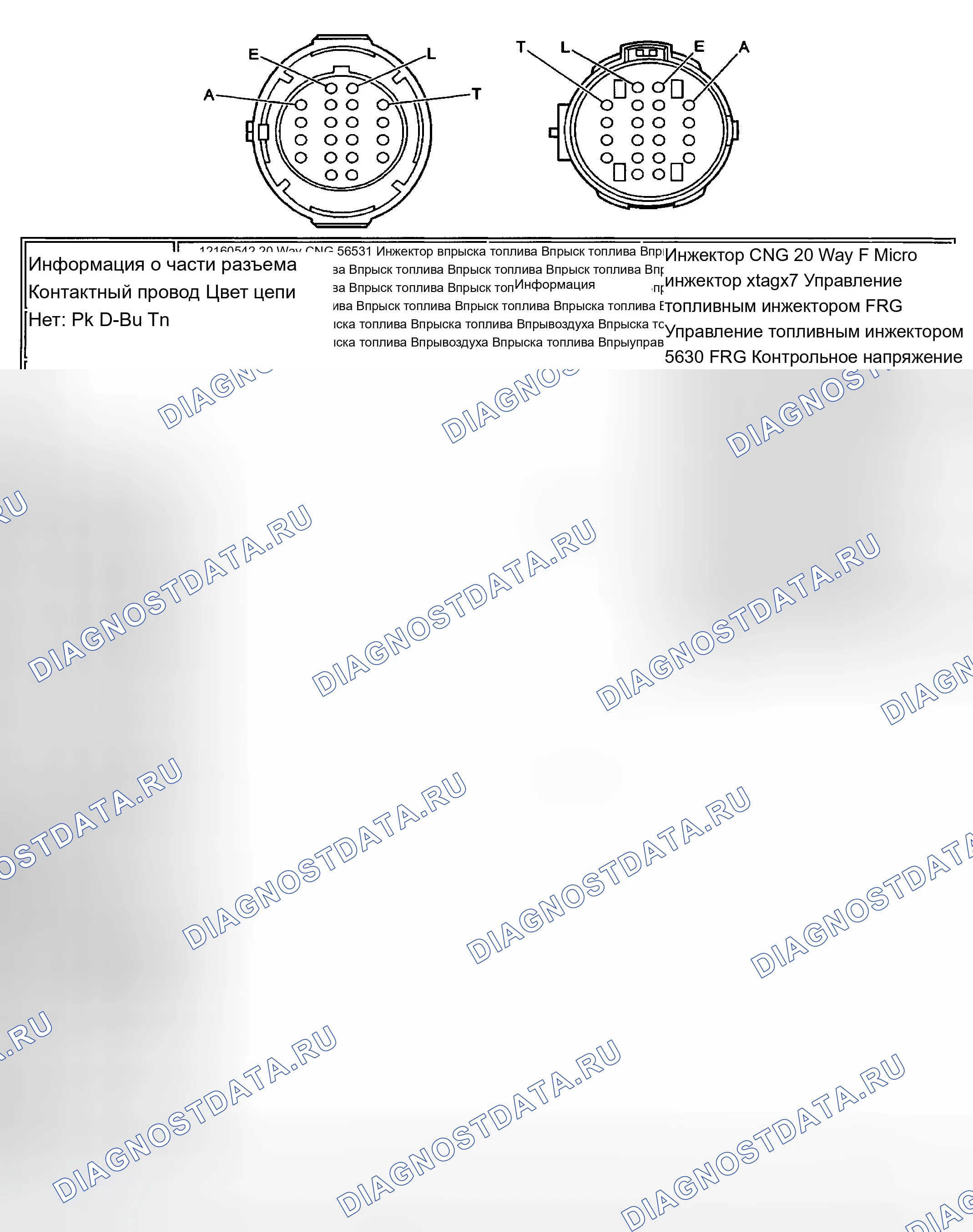 Рис. 413. Chevrolet Chevy Express H2500 