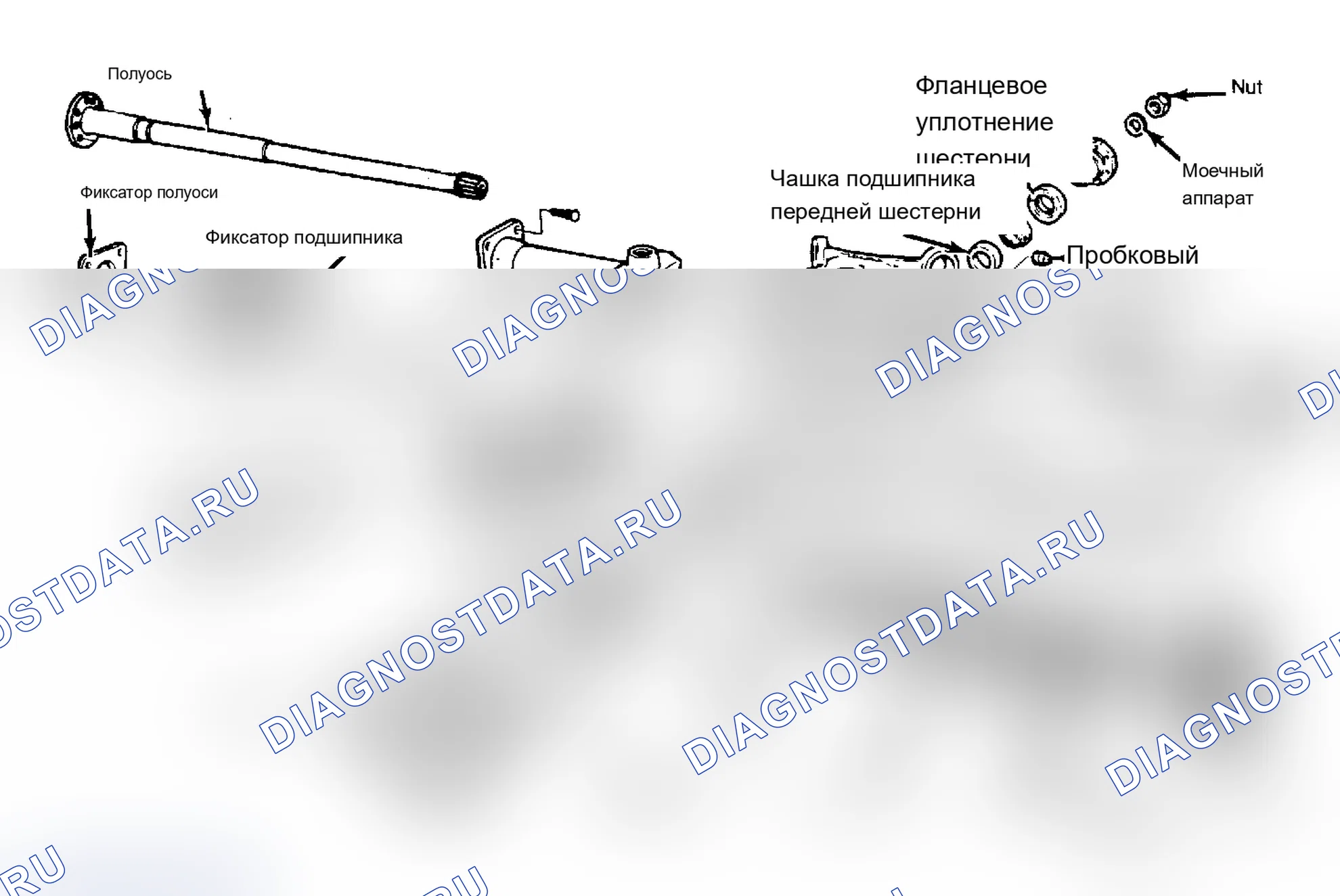 Рис. 6: Узлы моста коронной шестерни 8 1/2» и 9 1/2» General Motors. Chevrolet Cab & Chassis C20 