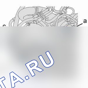 Снятие - установка: ремень ГРМ — b1bp32dc. Citroen C5 I рестайлинг
