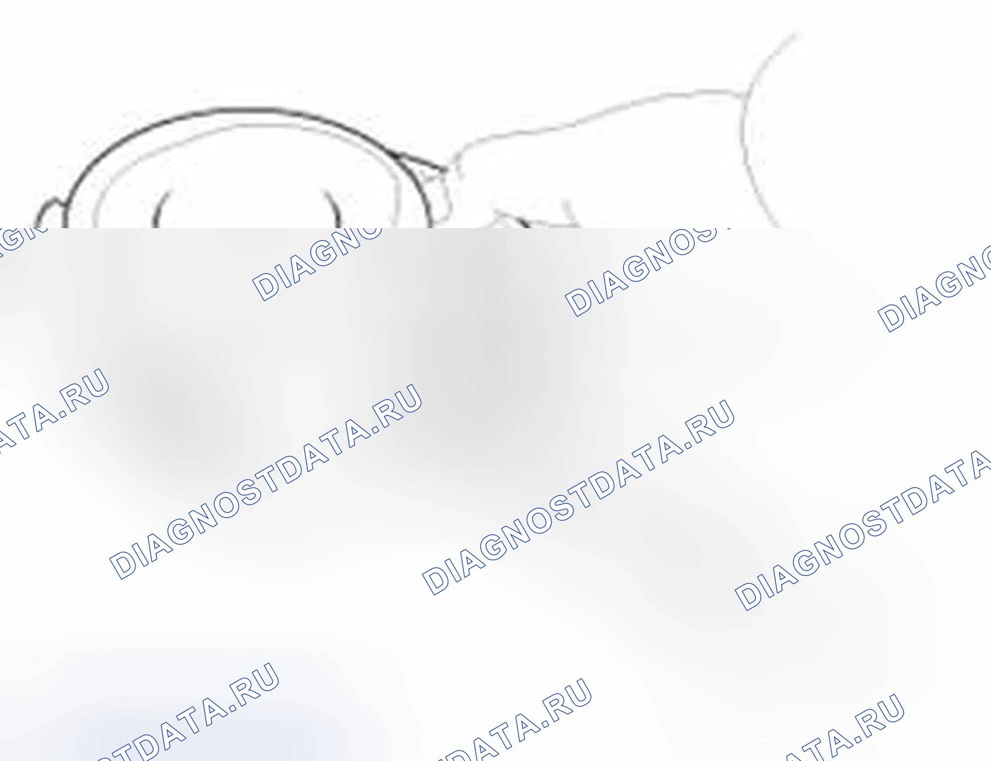 Рис. 243: Поршень и кольца. Hyundai Sonata VI
