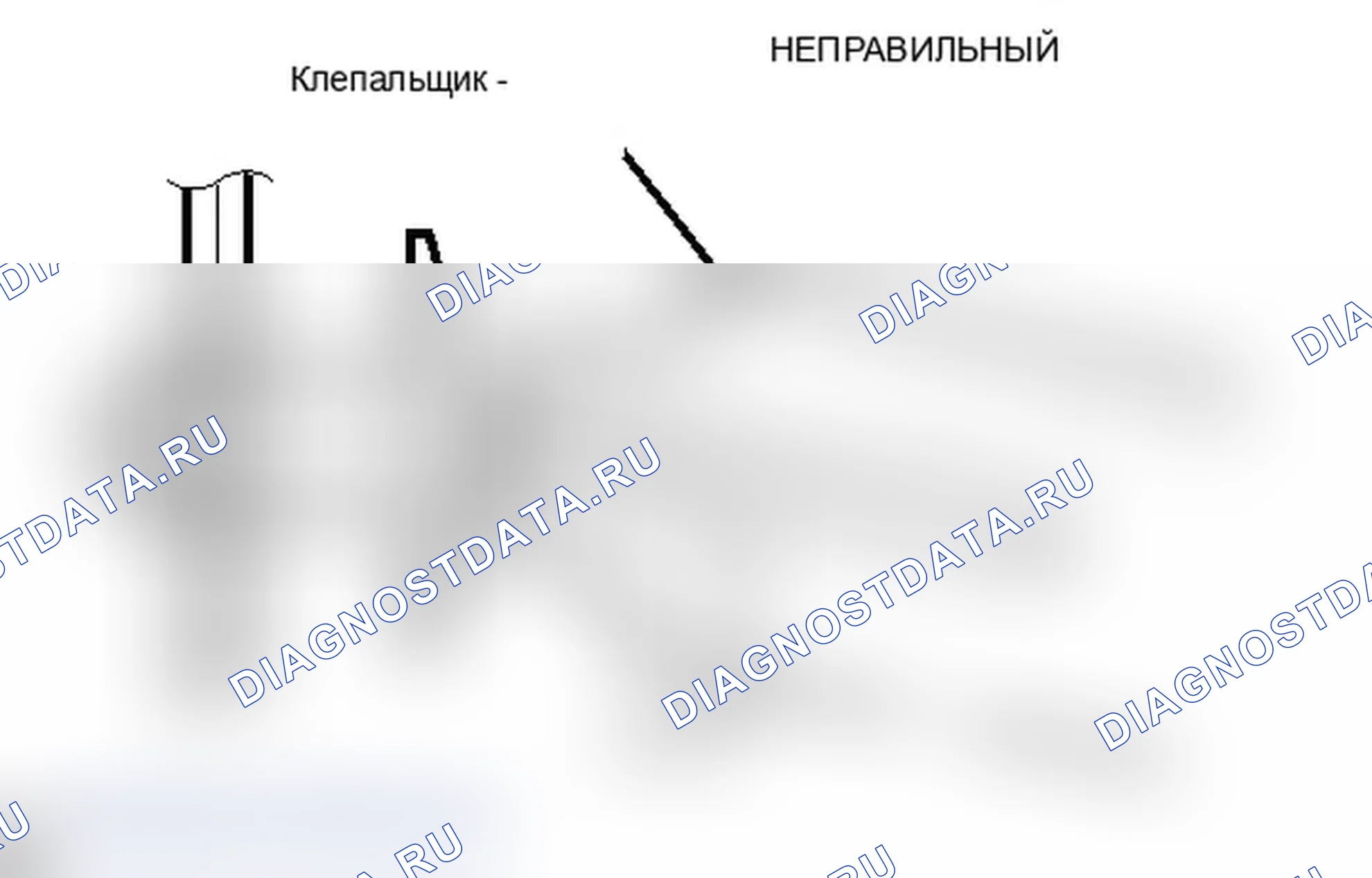 Рис. 150. Lexus IS F I