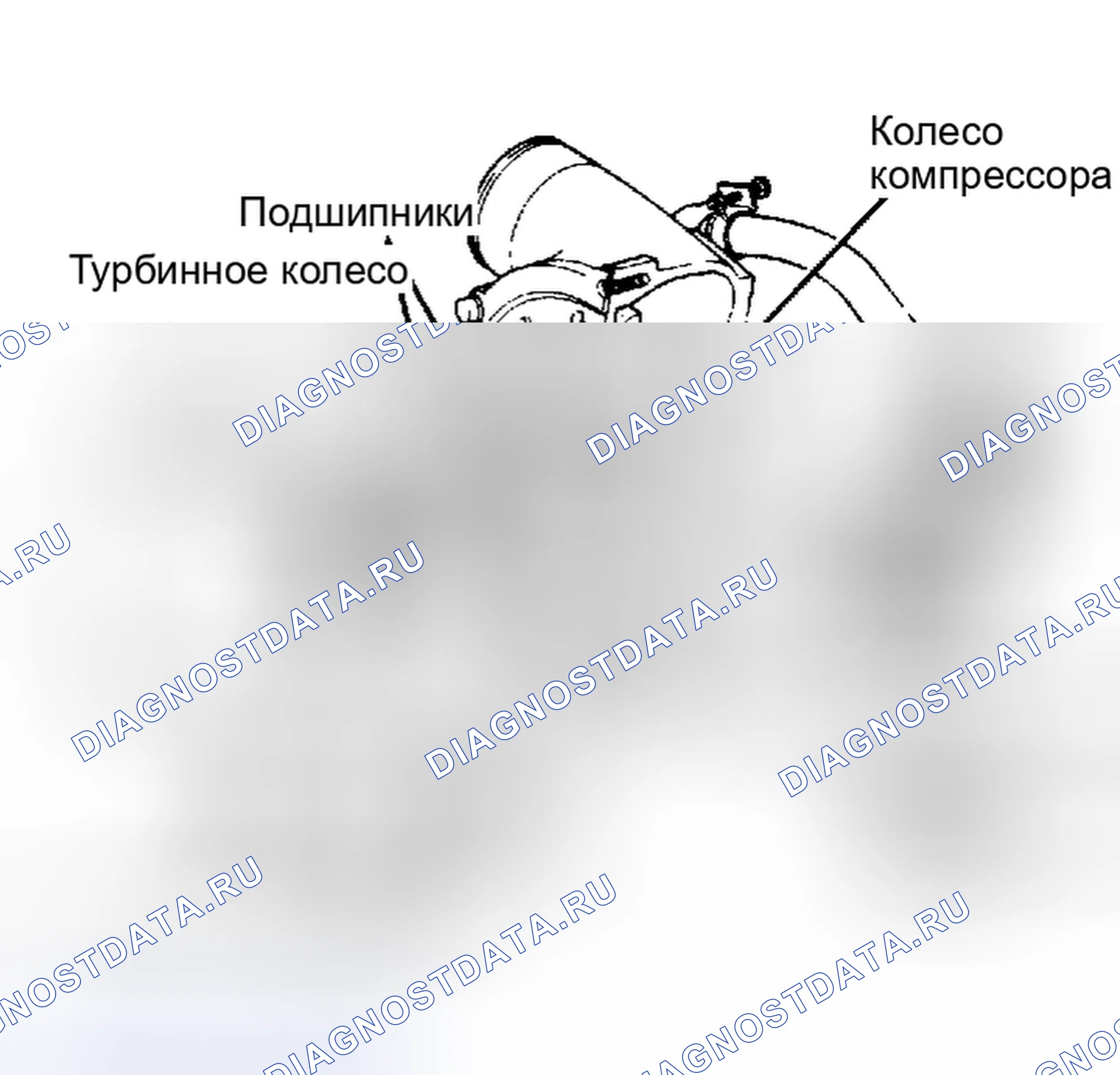 Рис. 11: Вид в разрезе турбокомпрессора 1.6L. Ford Thunderbird IX