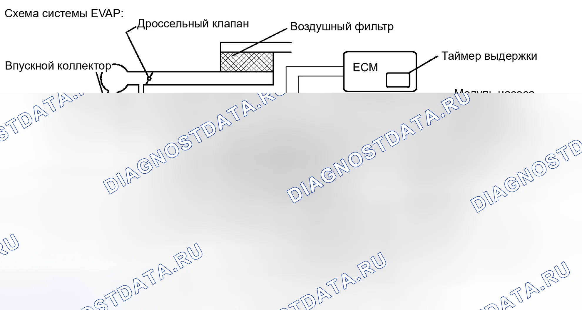 Рис. 118. Toyota Avalon XX30 рестайлинг 2