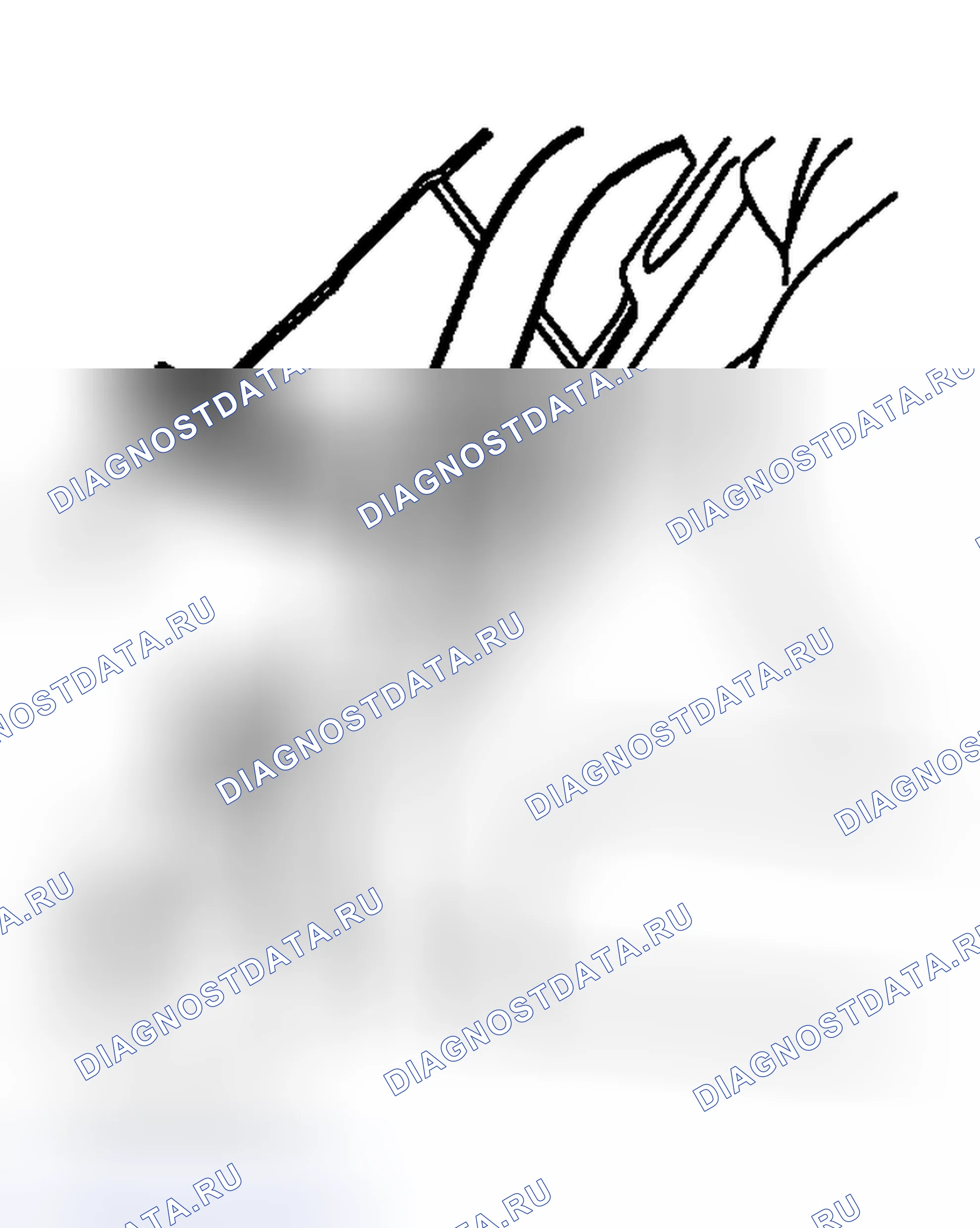 Рис. 84. Ford Pickup F250 Super Duty I