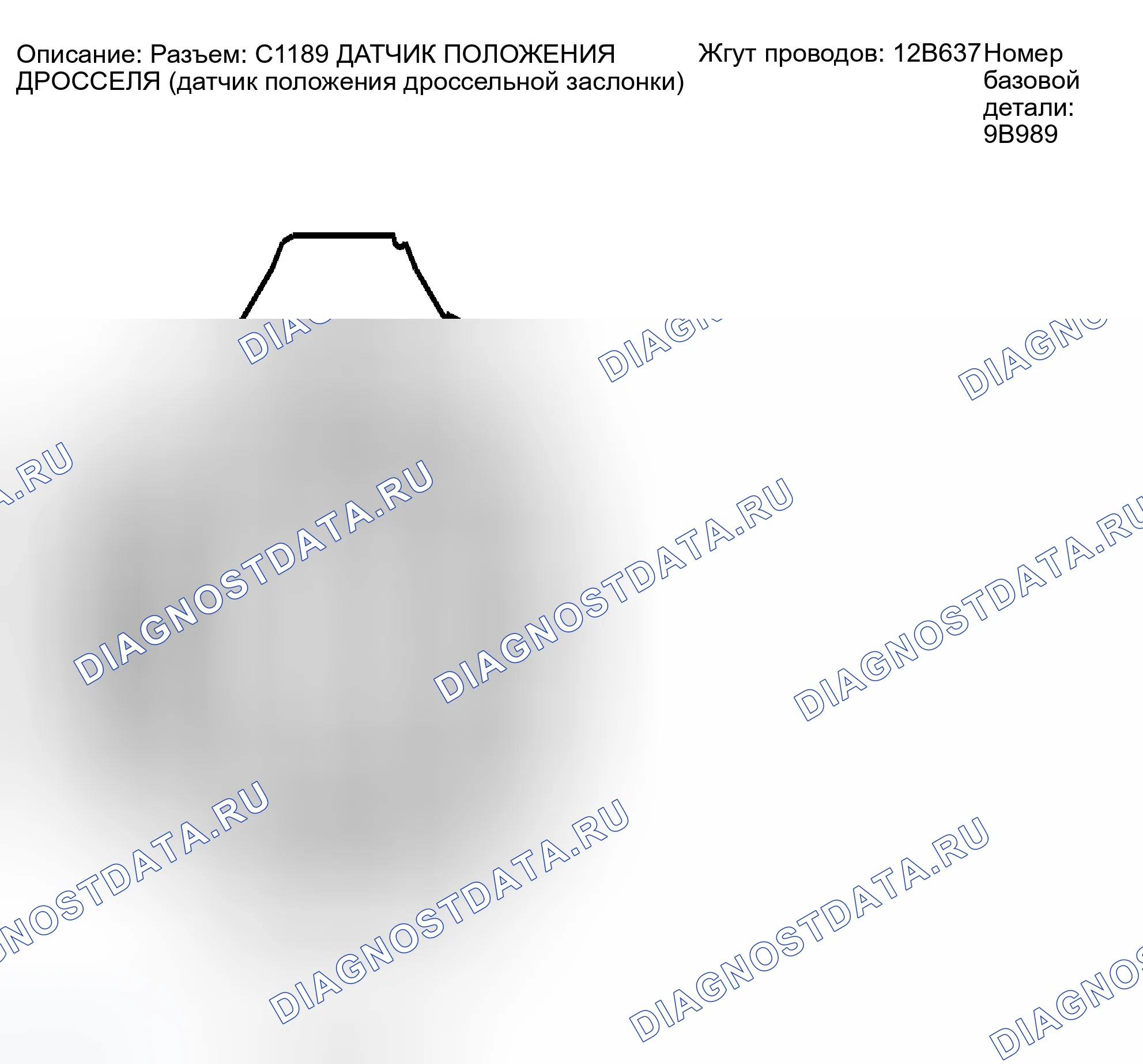 Рис. 245: Идентификация разъема C1189. Ford Escape I рестайлинг
