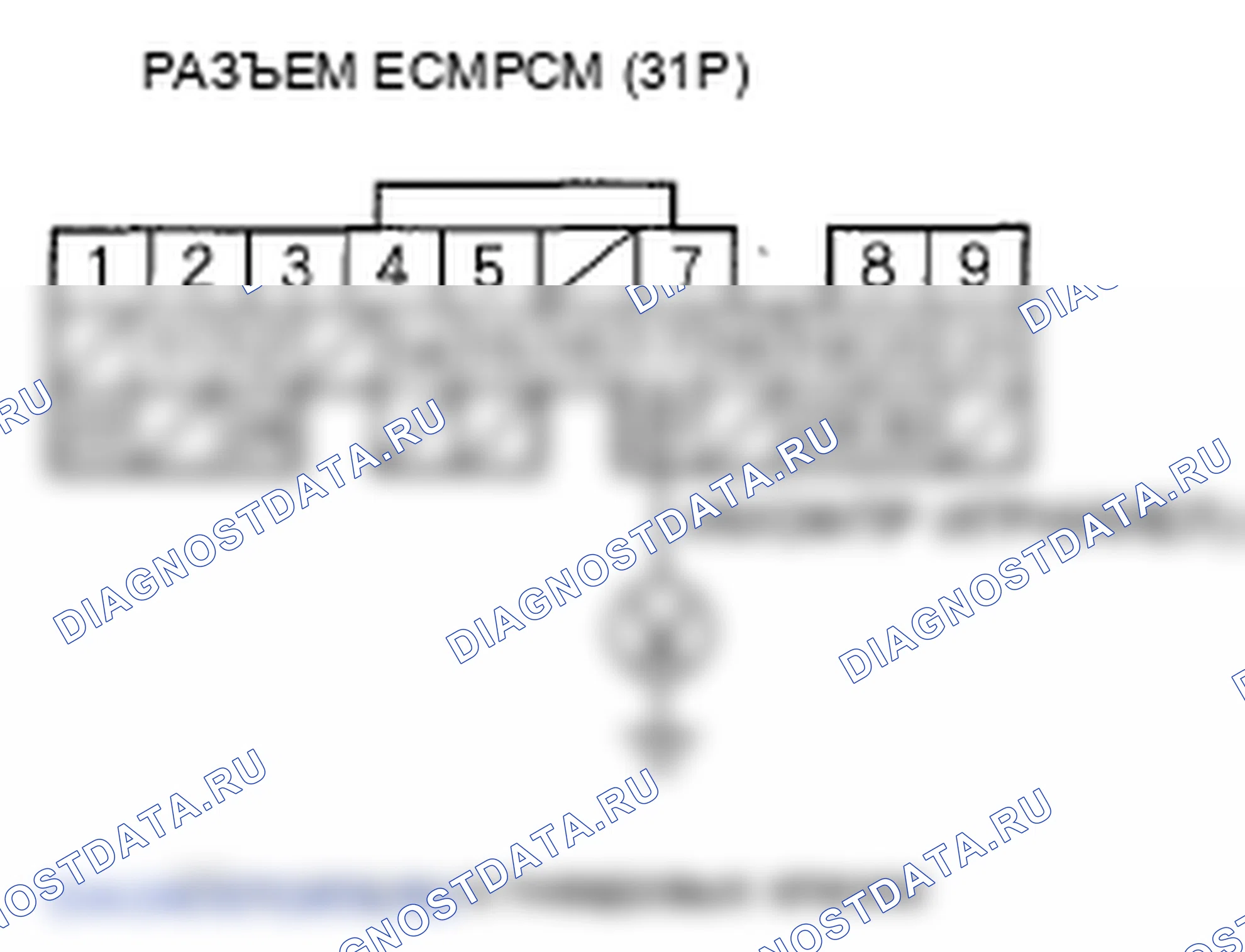 Рис. 15. Honda Element YH2 рестайлинг 2