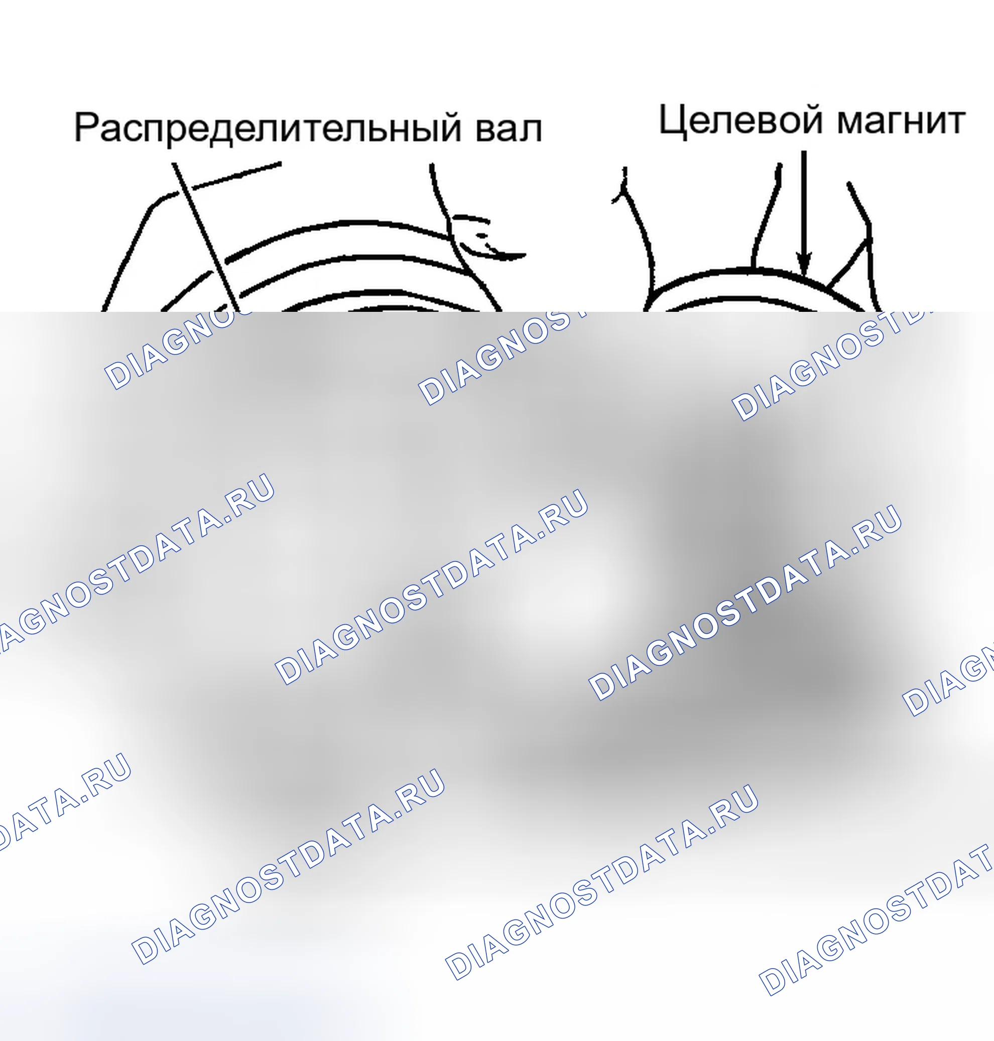 Рис. 24: Установочный кулачковый вал, целевой магнит и установочные штифты. Dodge Grand Caravan III