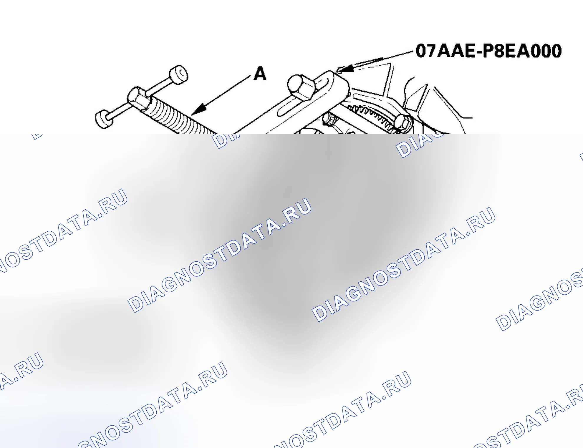 Рис. 61. Honda Accord VII рестайлинг