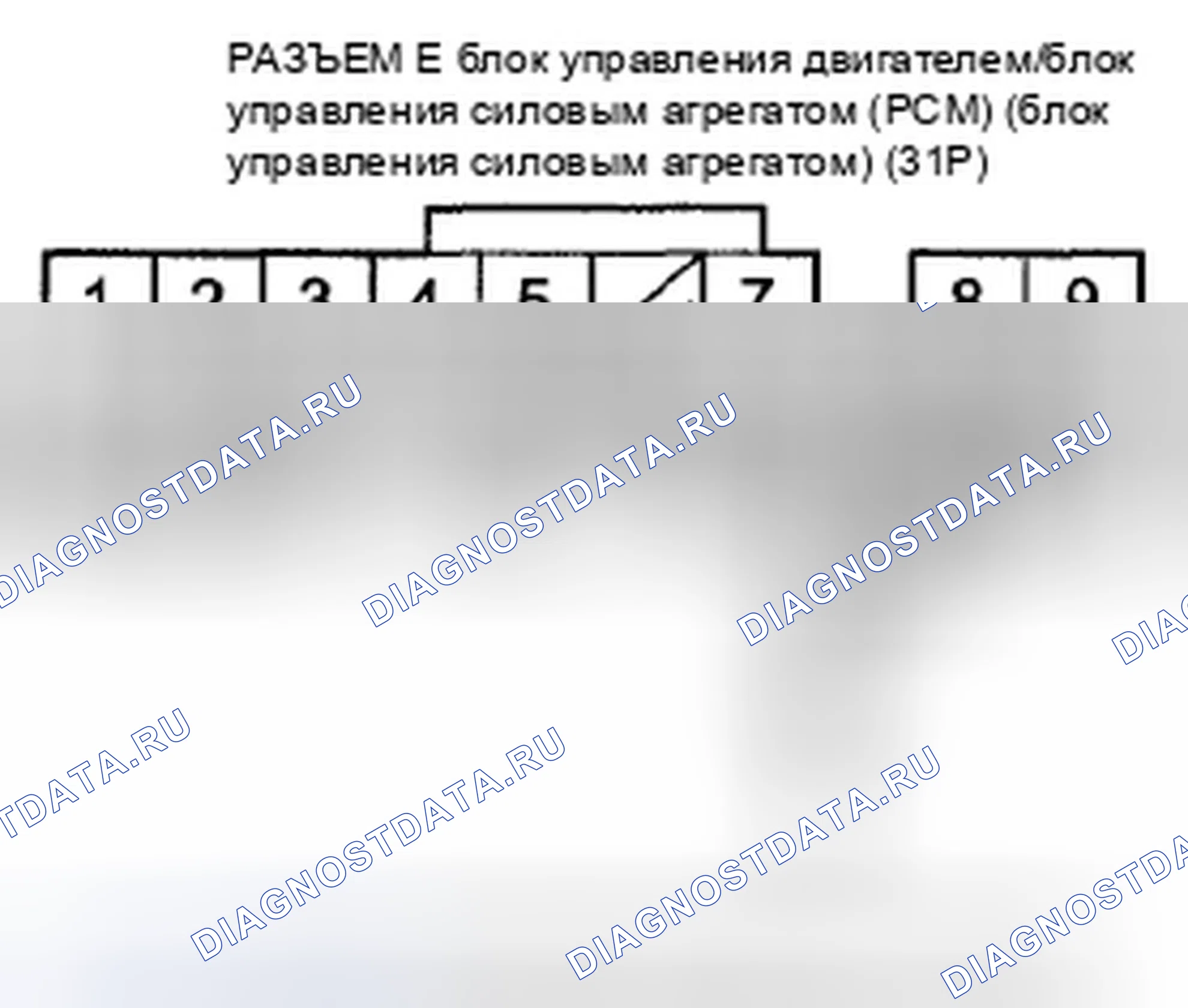 Рис. 56. Honda Element YH2 рестайлинг