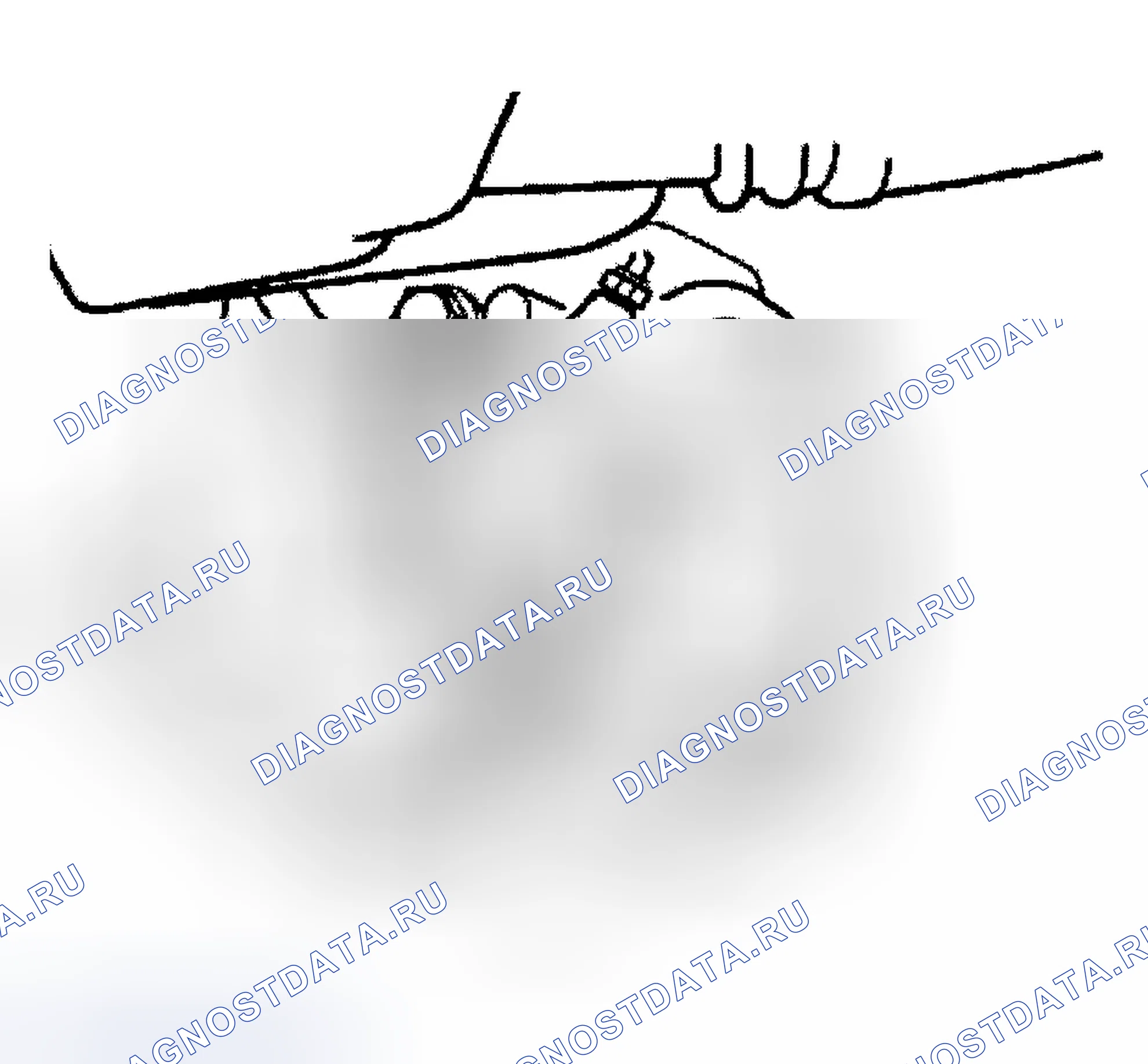Рис. 9. BMW Z4 E85/E86