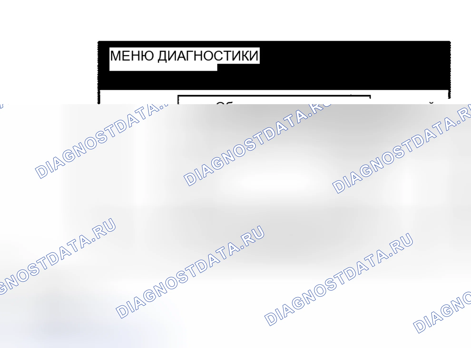 Рис. 37. Haval Xiaolong Max I