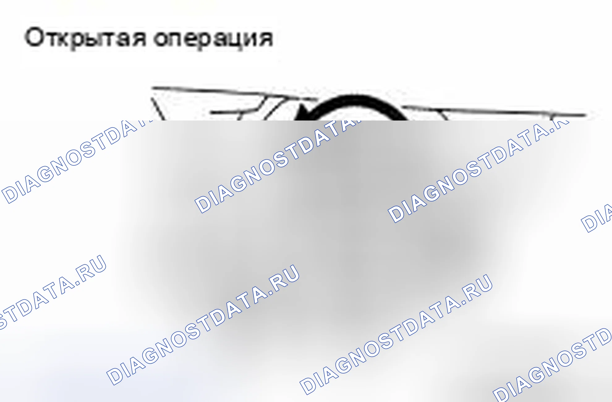 Рис. 430. Nissan Murano Z51 рестайлинг 2