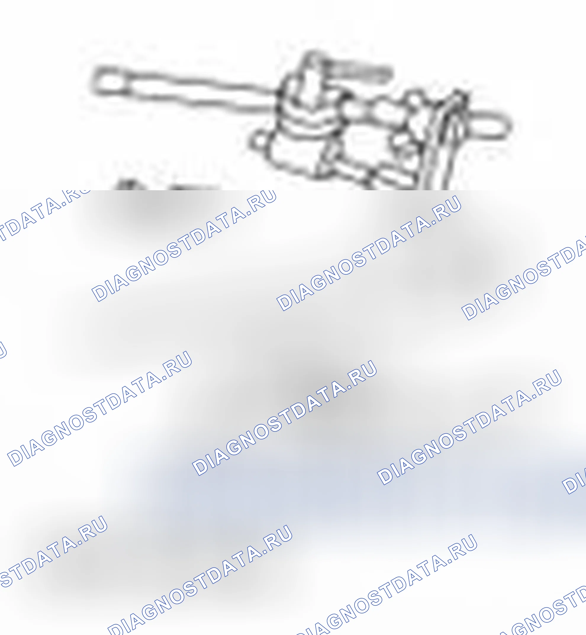 Рис. 2345: Специальный инструмент (ы). Ford Mustang V рестайлинг