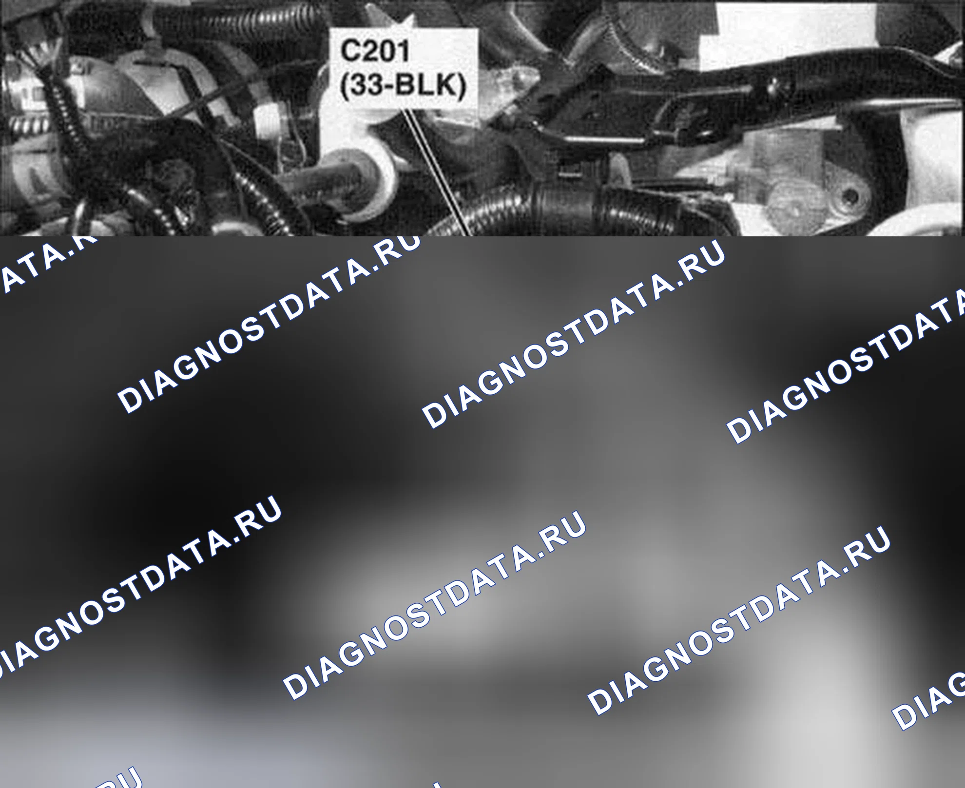 Рис. 302. Honda Accord VII рестайлинг
