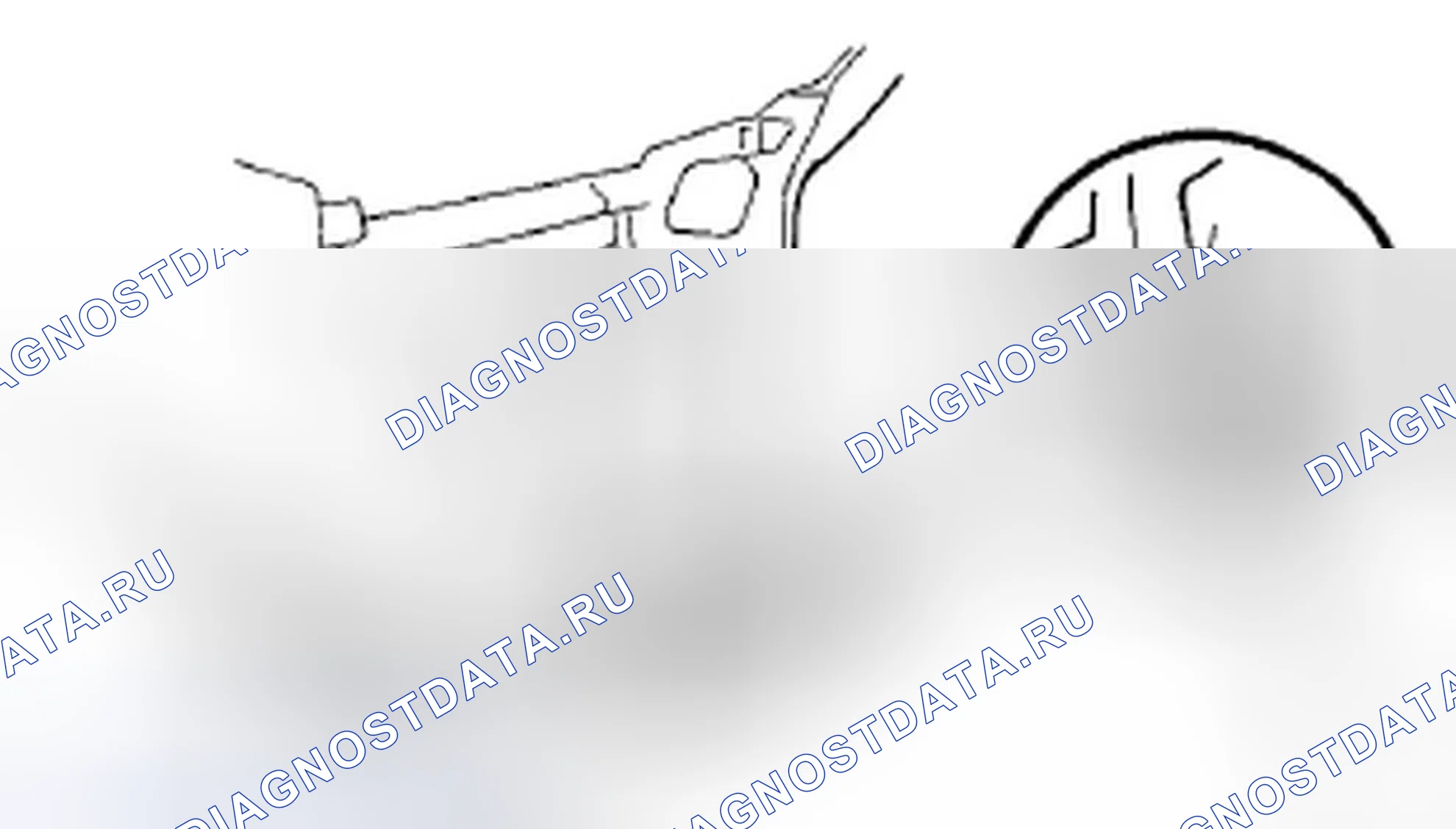 Рис. 144. Honda Crosstour I