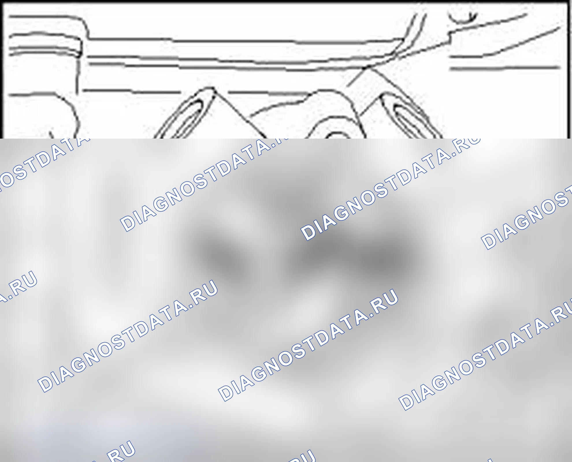 Рис. 216. Audi S4 B7