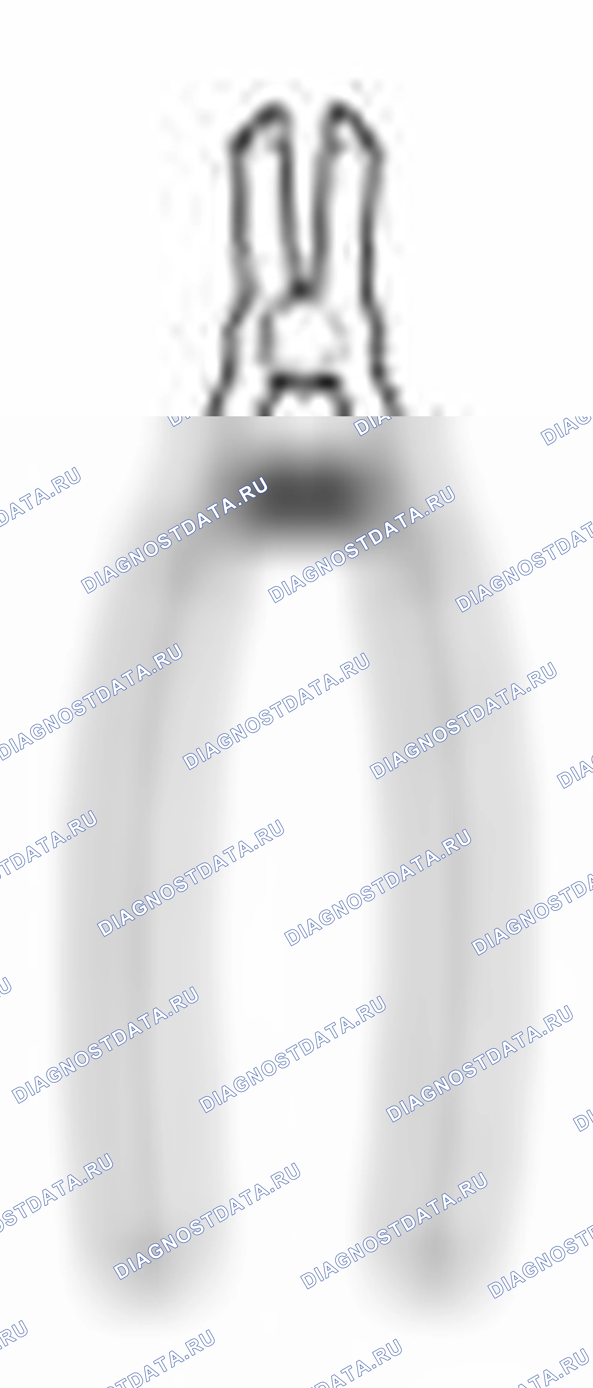 Рис. 4. Haval Beast (Shenshou) I