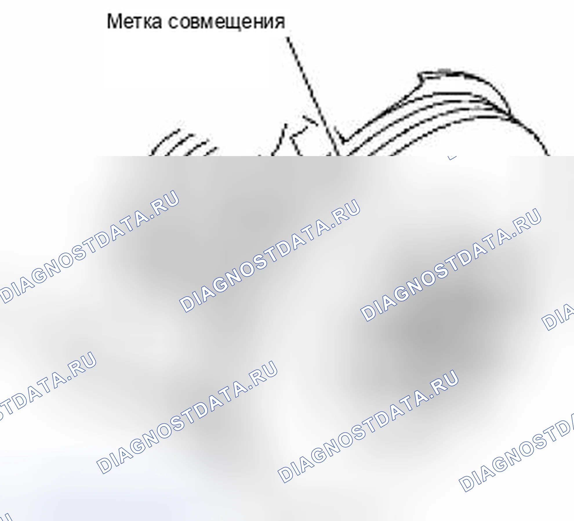 Рис. 10: УСТАНОВКА. Suzuki Equator I