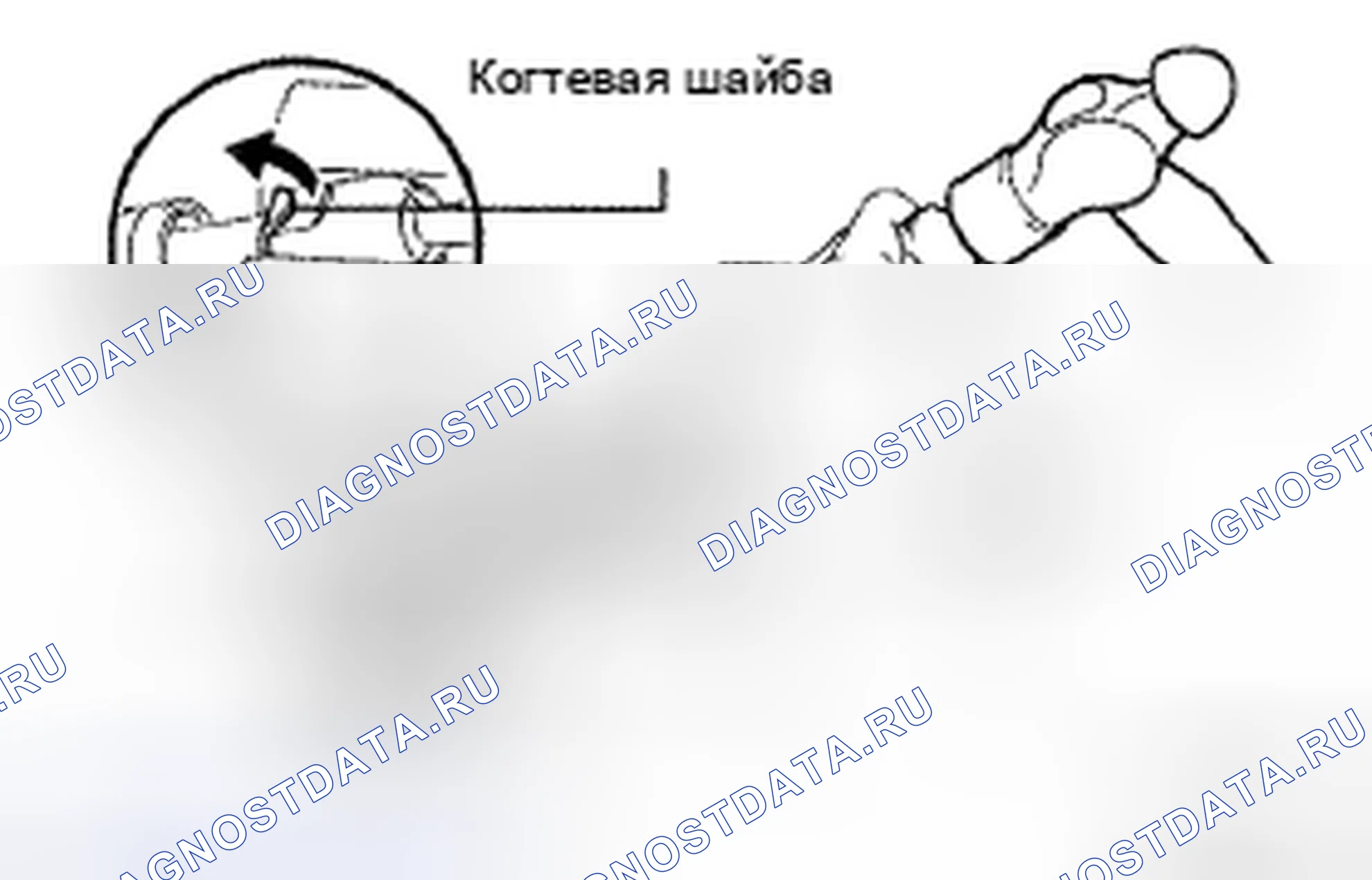 Рис. 66. Toyota Avalon XX30 рестайлинг